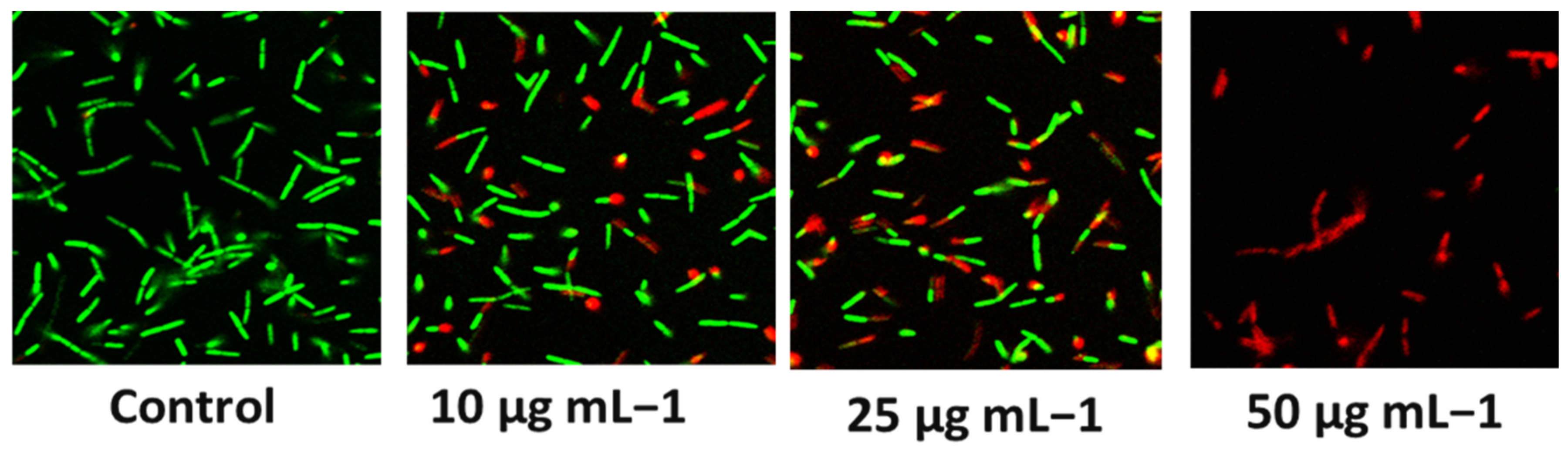 Catalysts 13 01077 g006