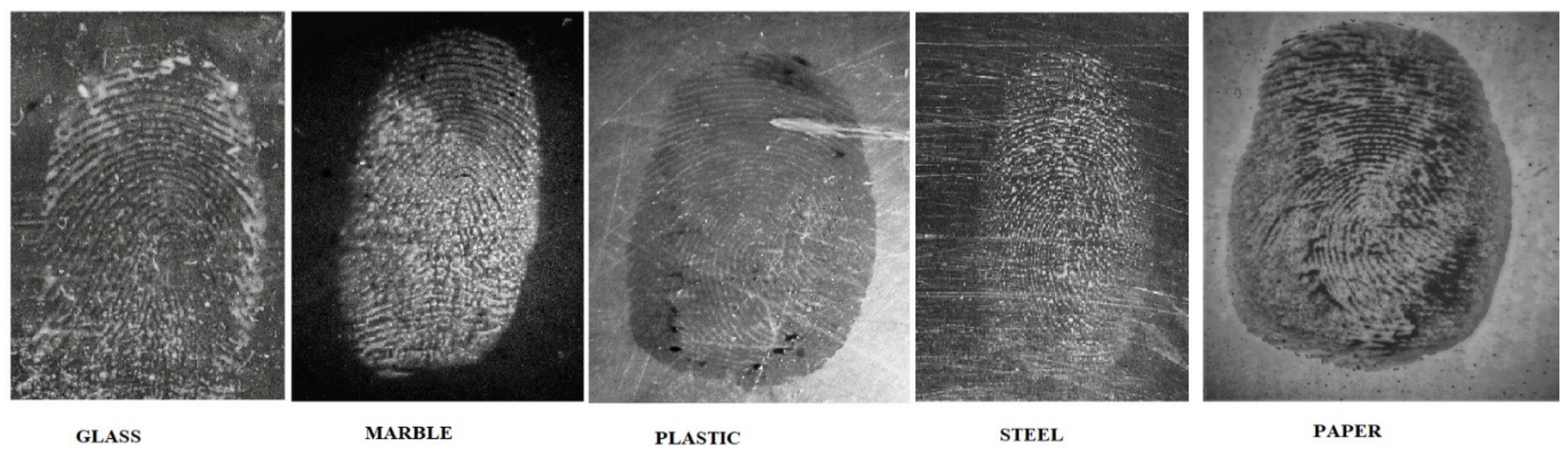 Catalysts 13 01077 g008