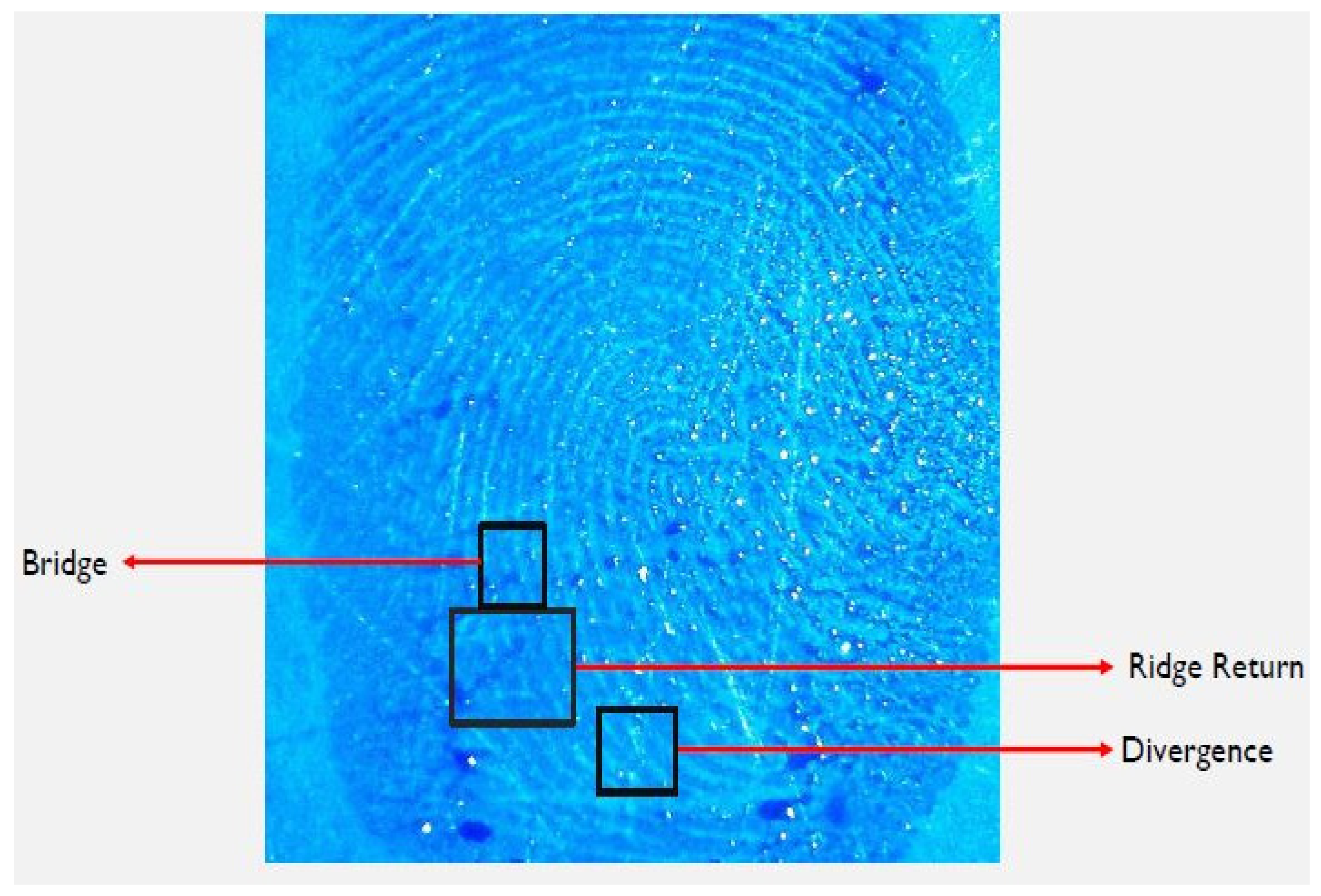 Catalysts 13 01077 g009