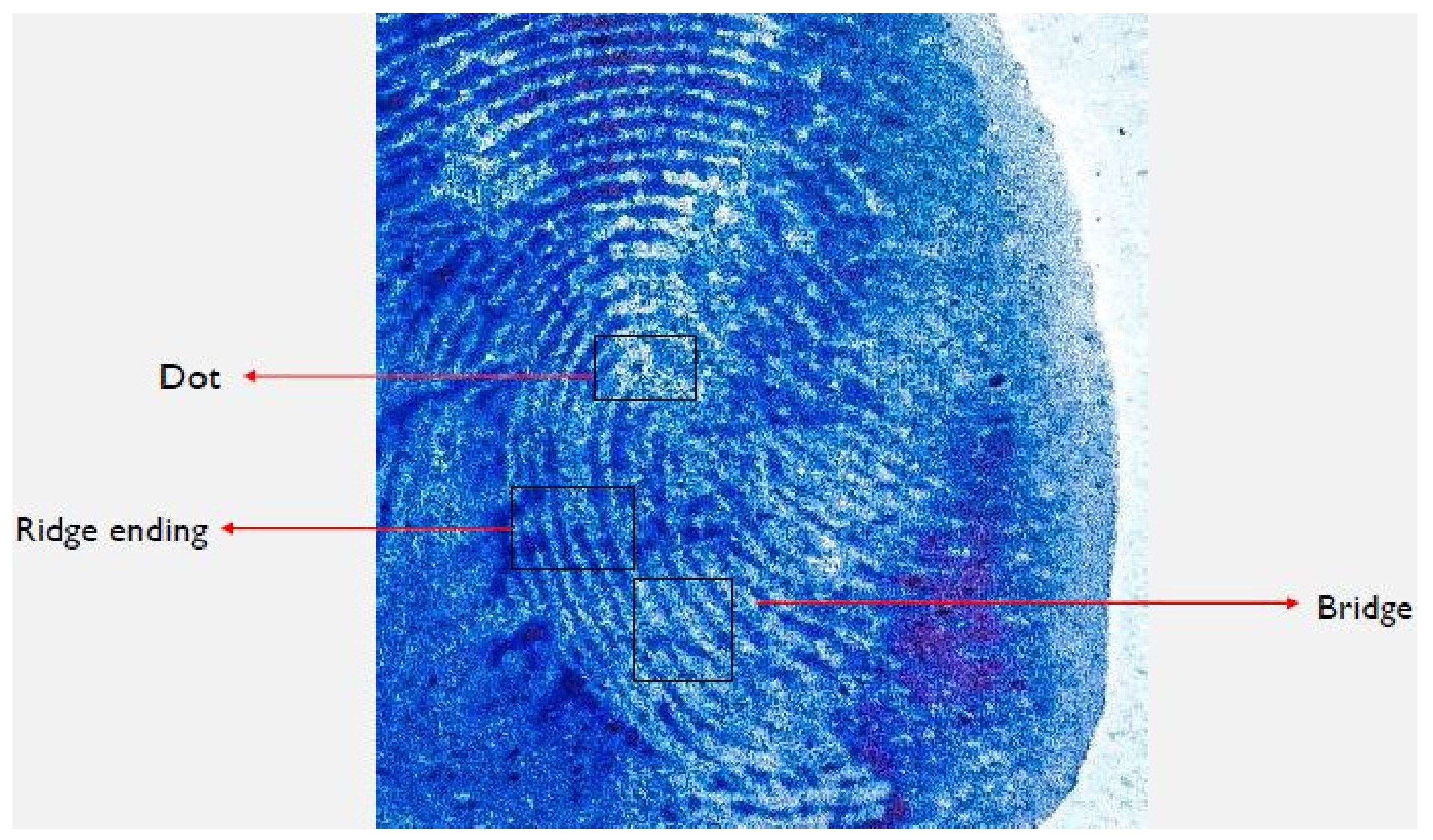 Catalysts 13 01077 g010