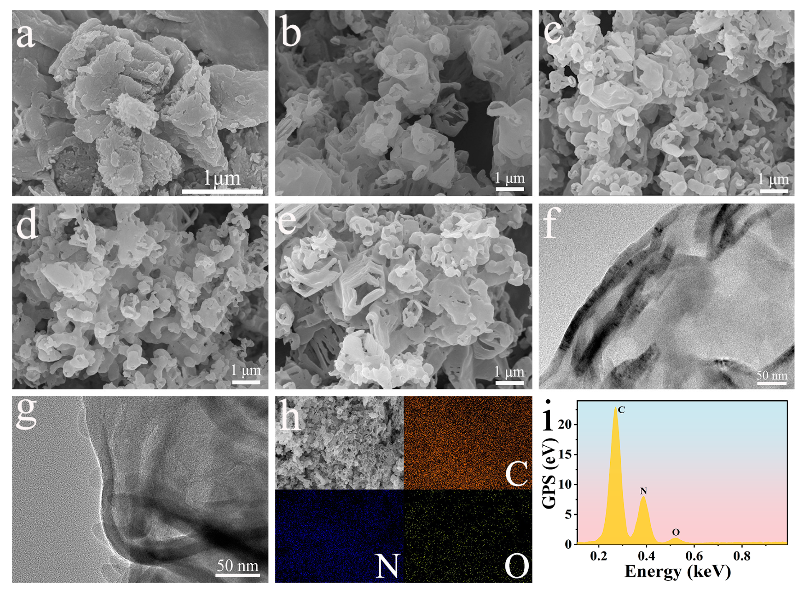Catalysts 13 01079 g001