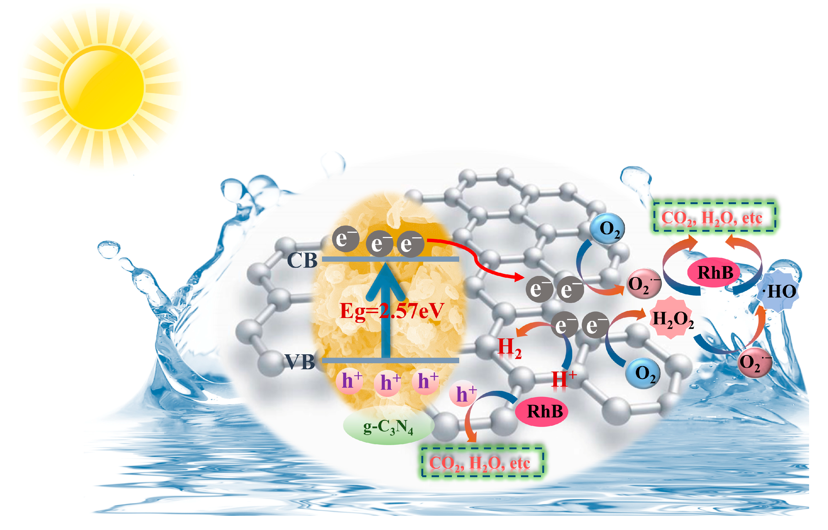 Catalysts 13 01079 g006