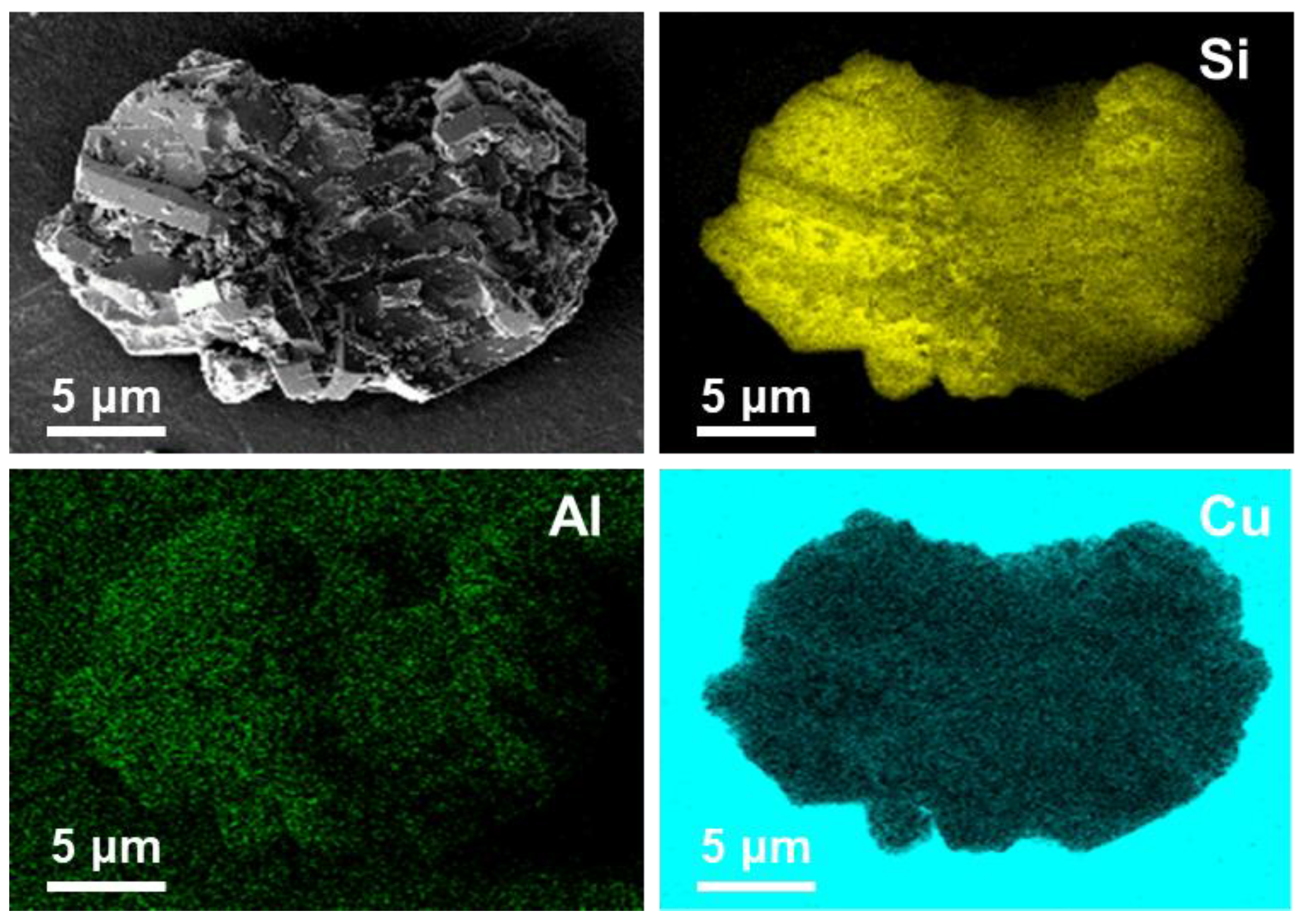Catalysts 13 01080 g003