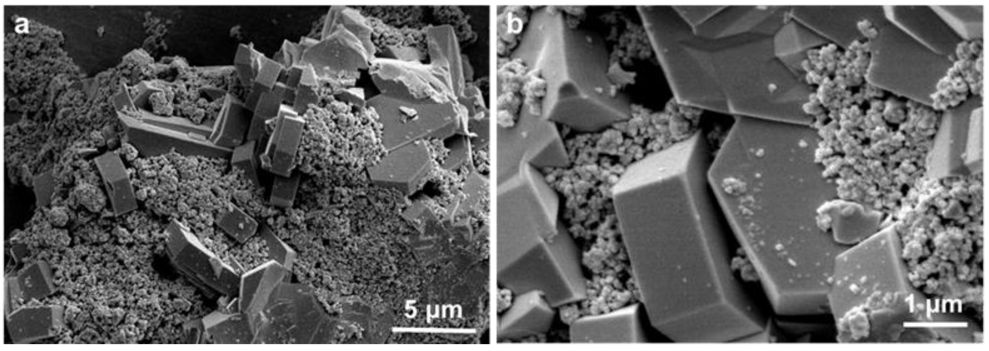 Catalysts 13 01080 g007
