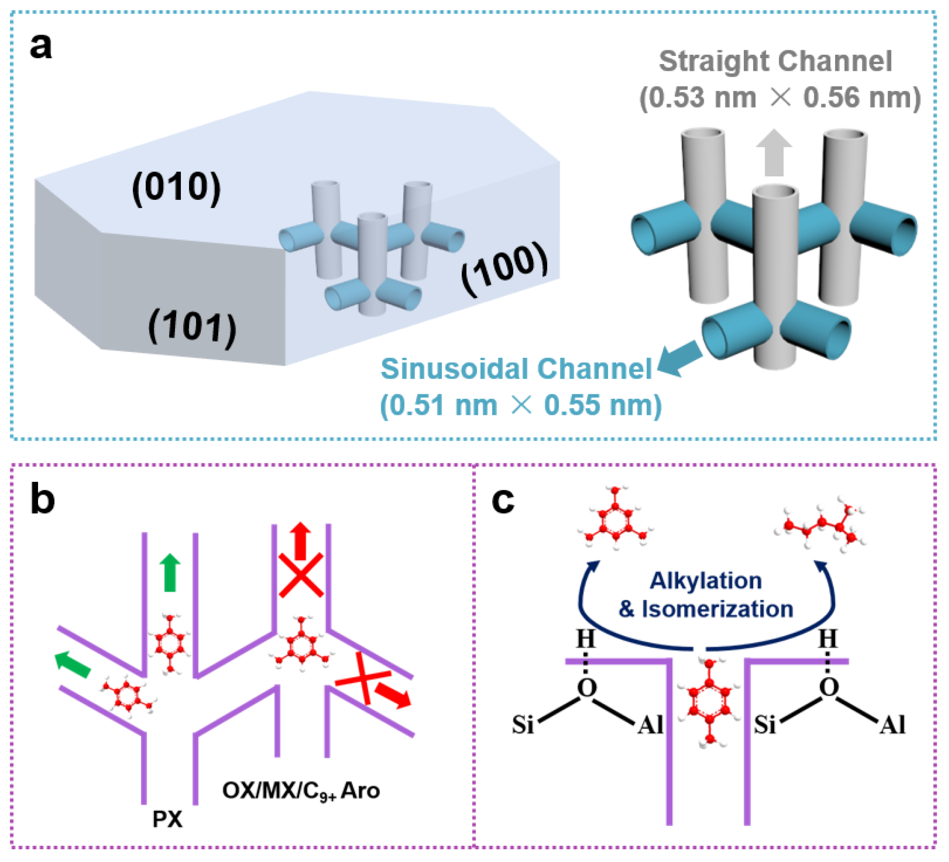 Catalysts 13 01080 sch002
