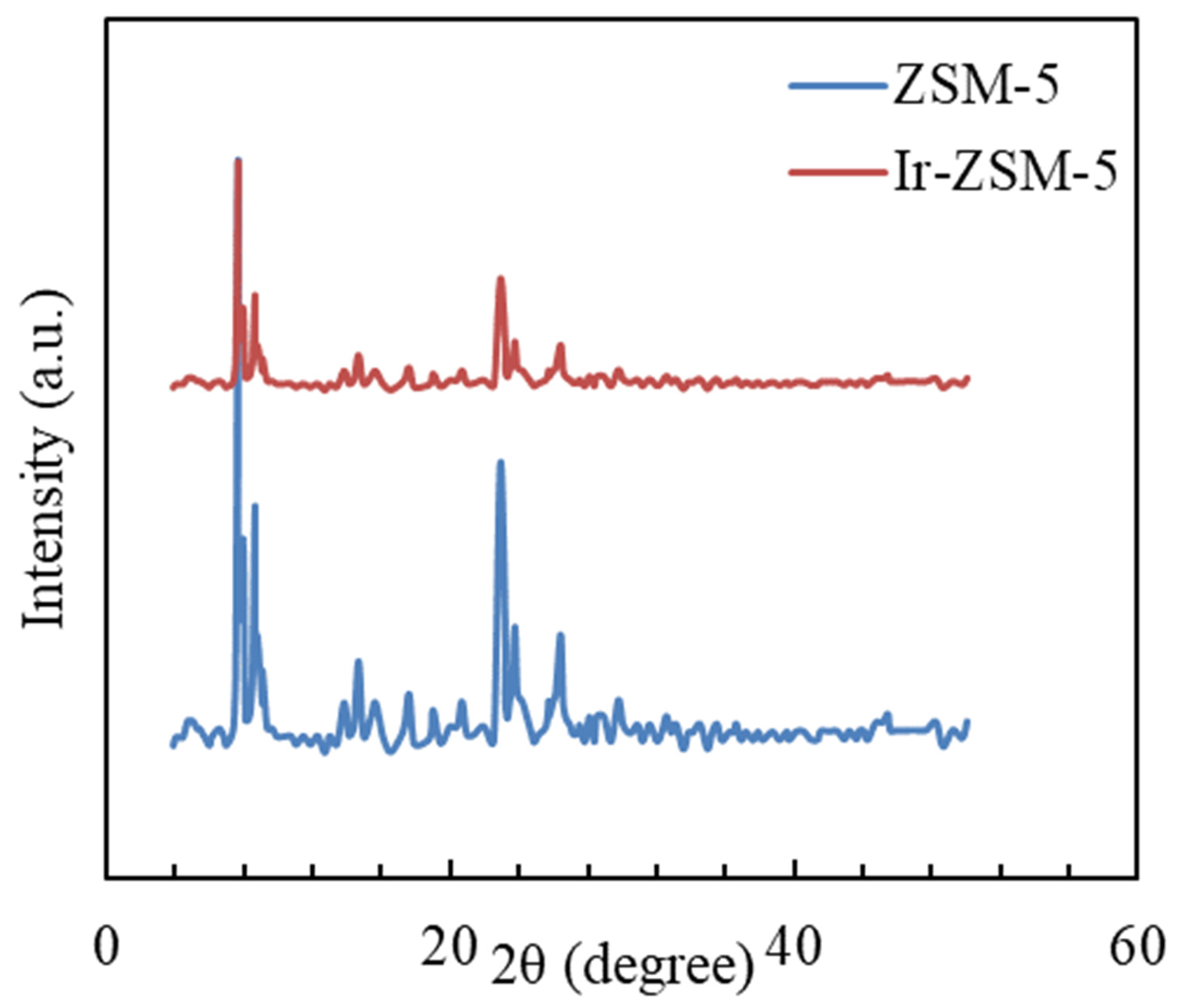 Catalysts 13 01085 g001