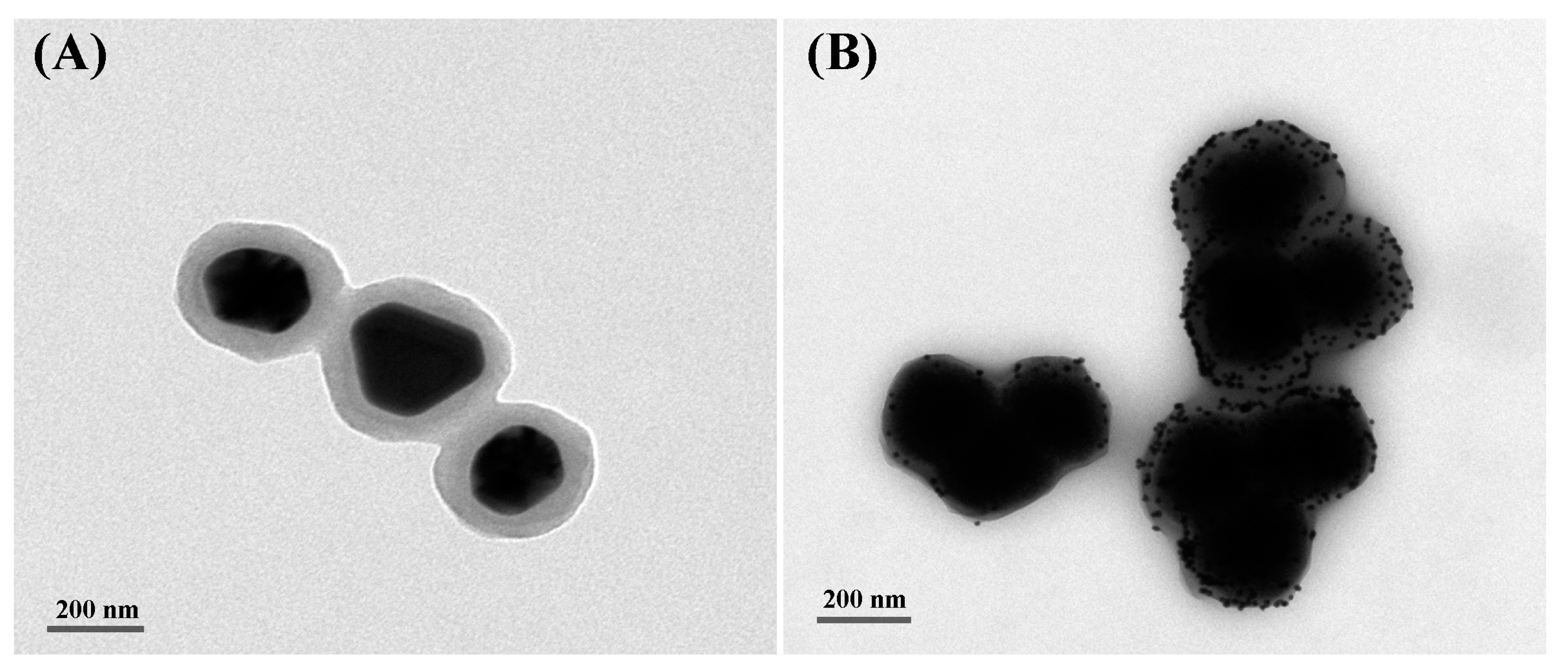 Catalysts 13 01088 g002
