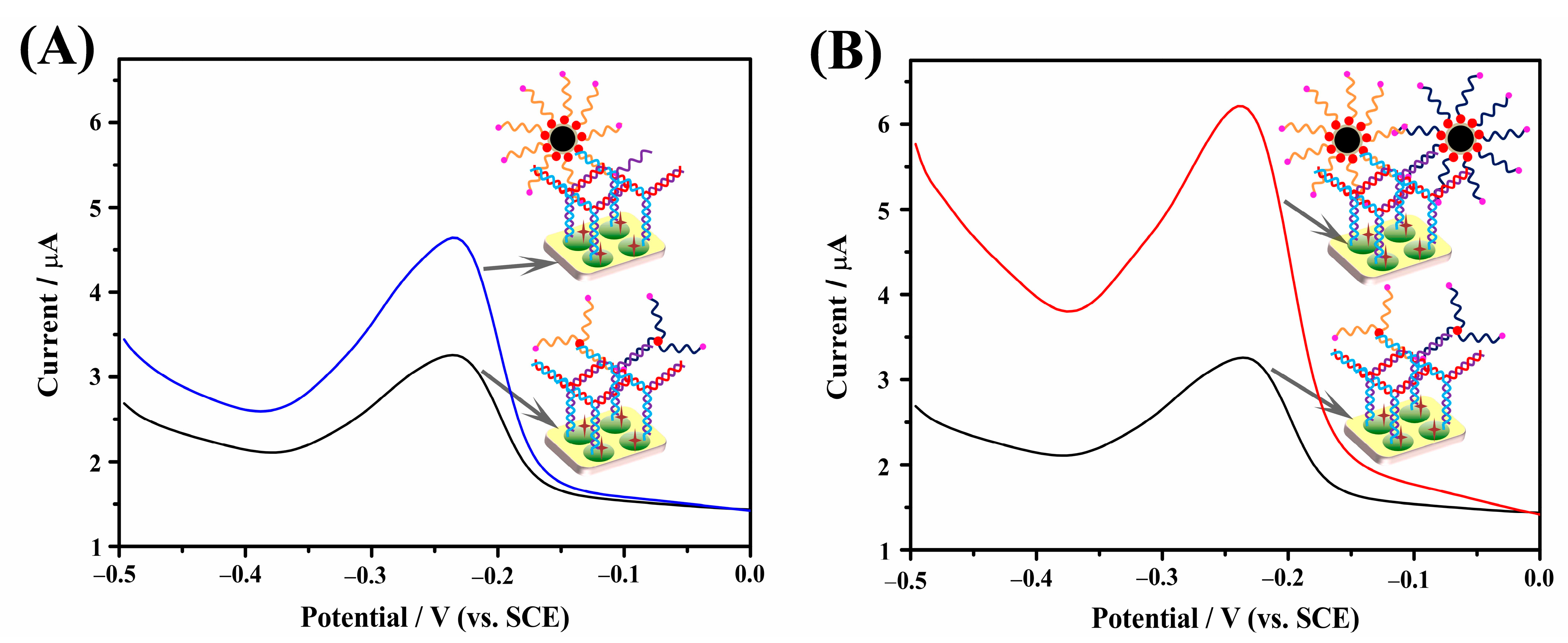 Catalysts 13 01088 g004