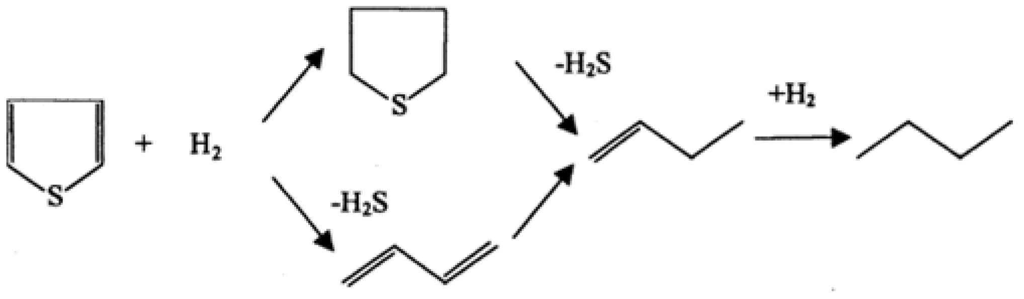 Catalysts 13 01089 g003