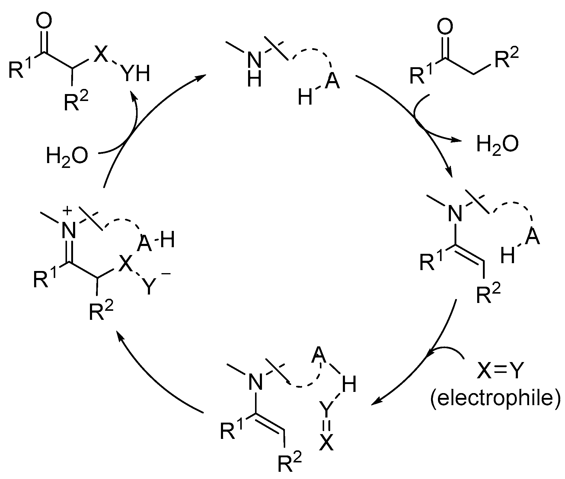 Catalysts 13 01091 sch002