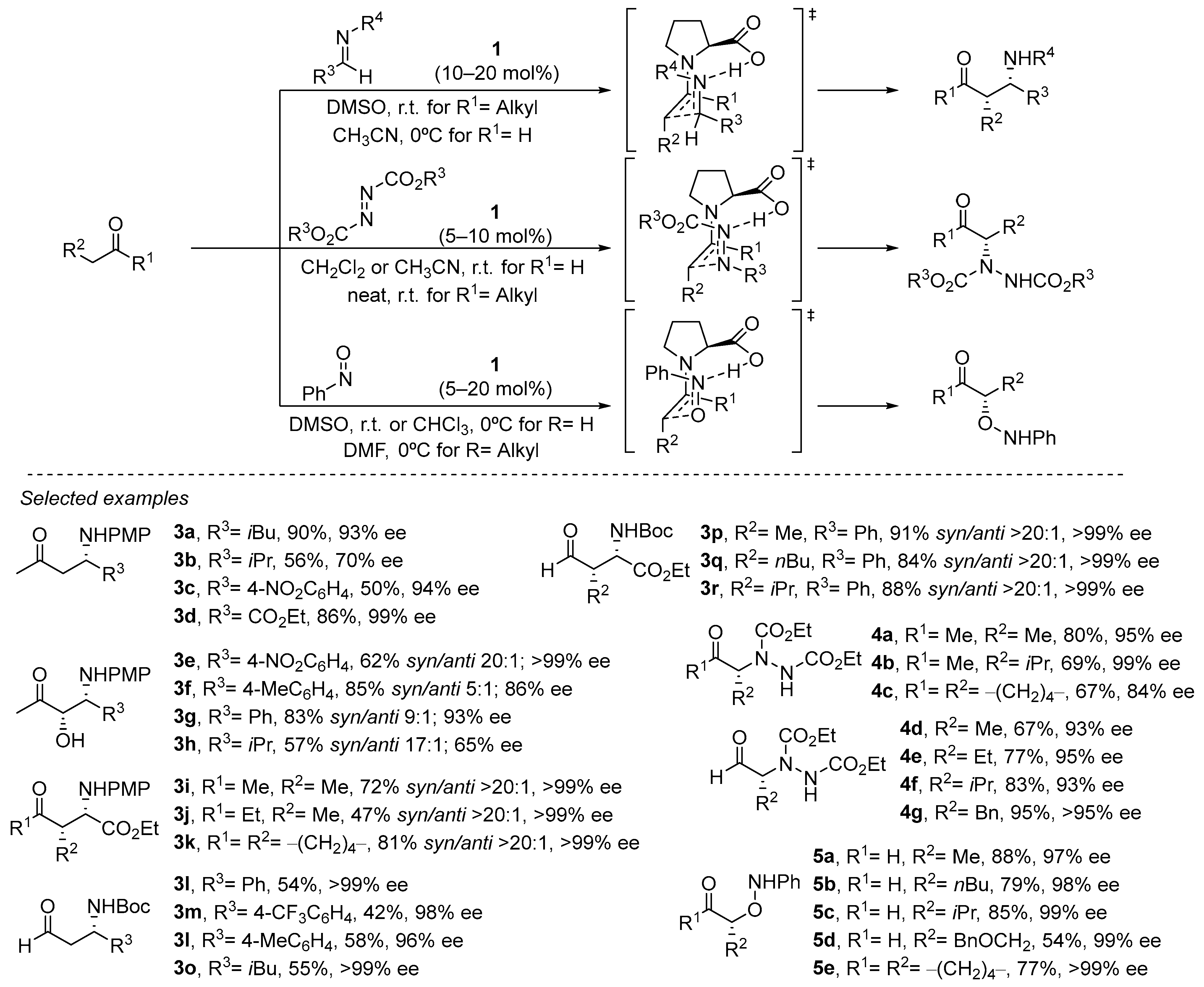 Catalysts 13 01091 sch004