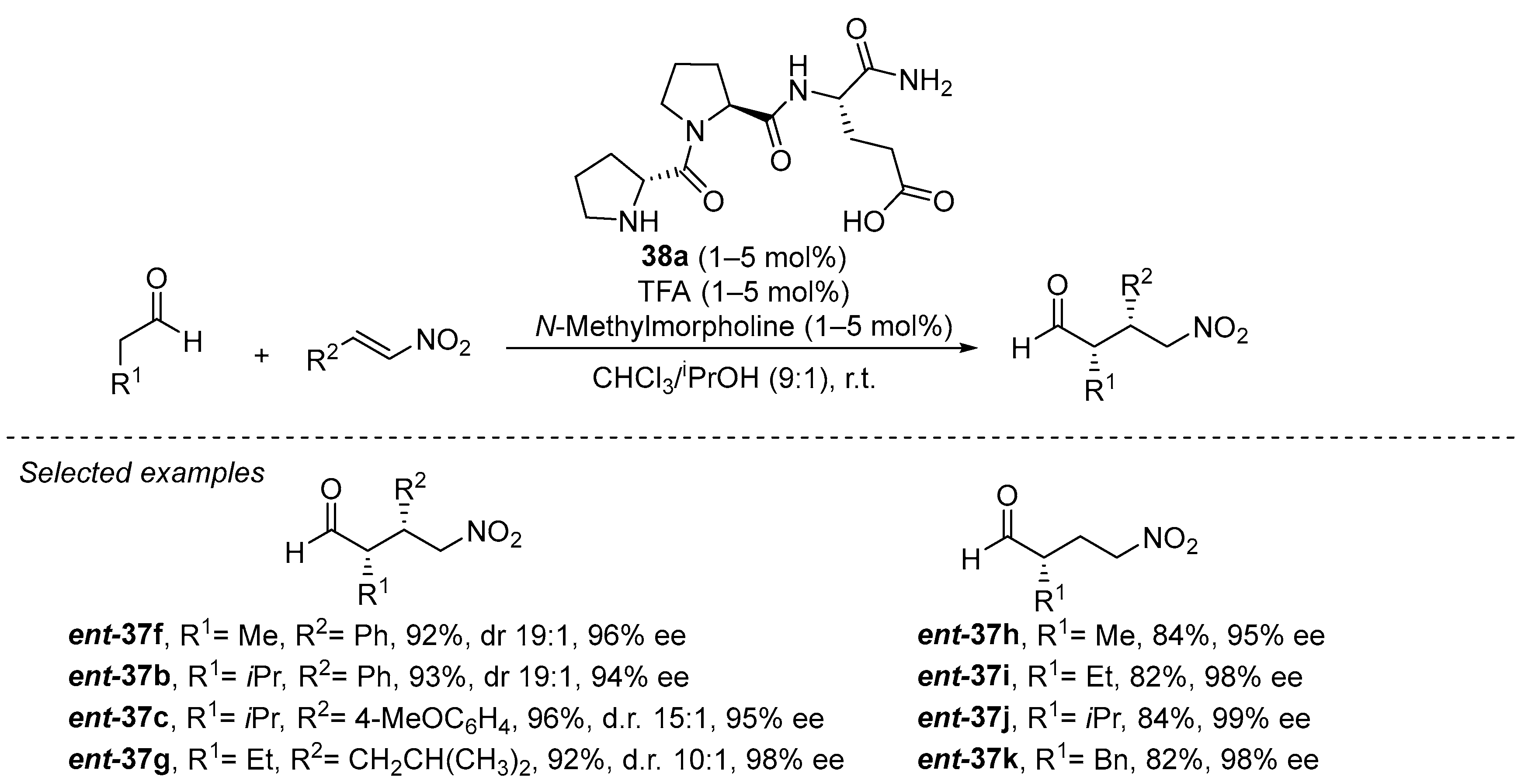 Catalysts 13 01091 sch011
