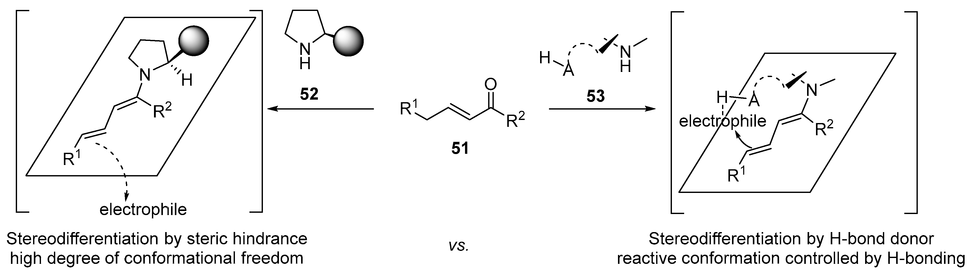 Catalysts 13 01091 sch017