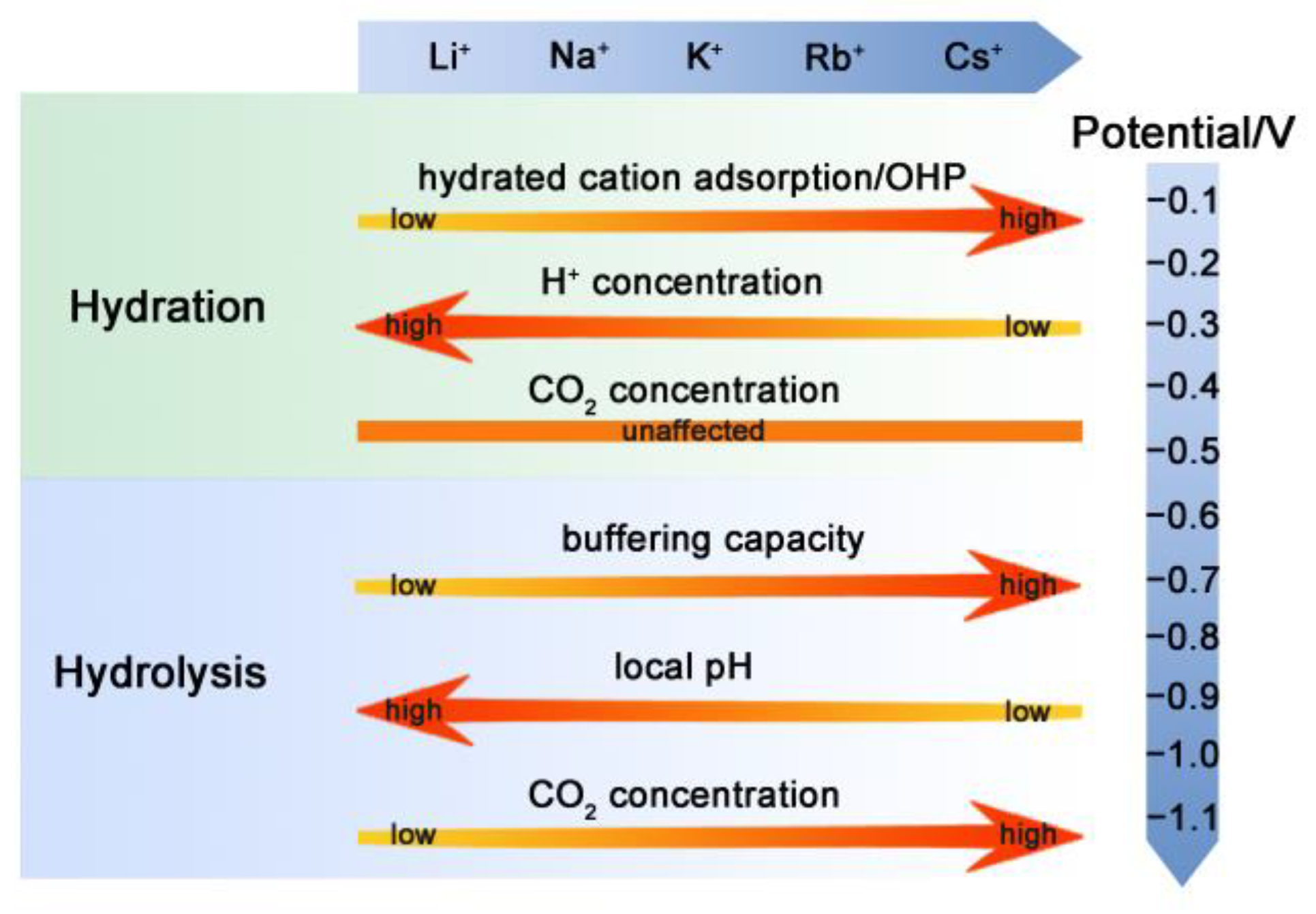 Catalysts 13 01092 g006 Catalysts 13 01092 g006