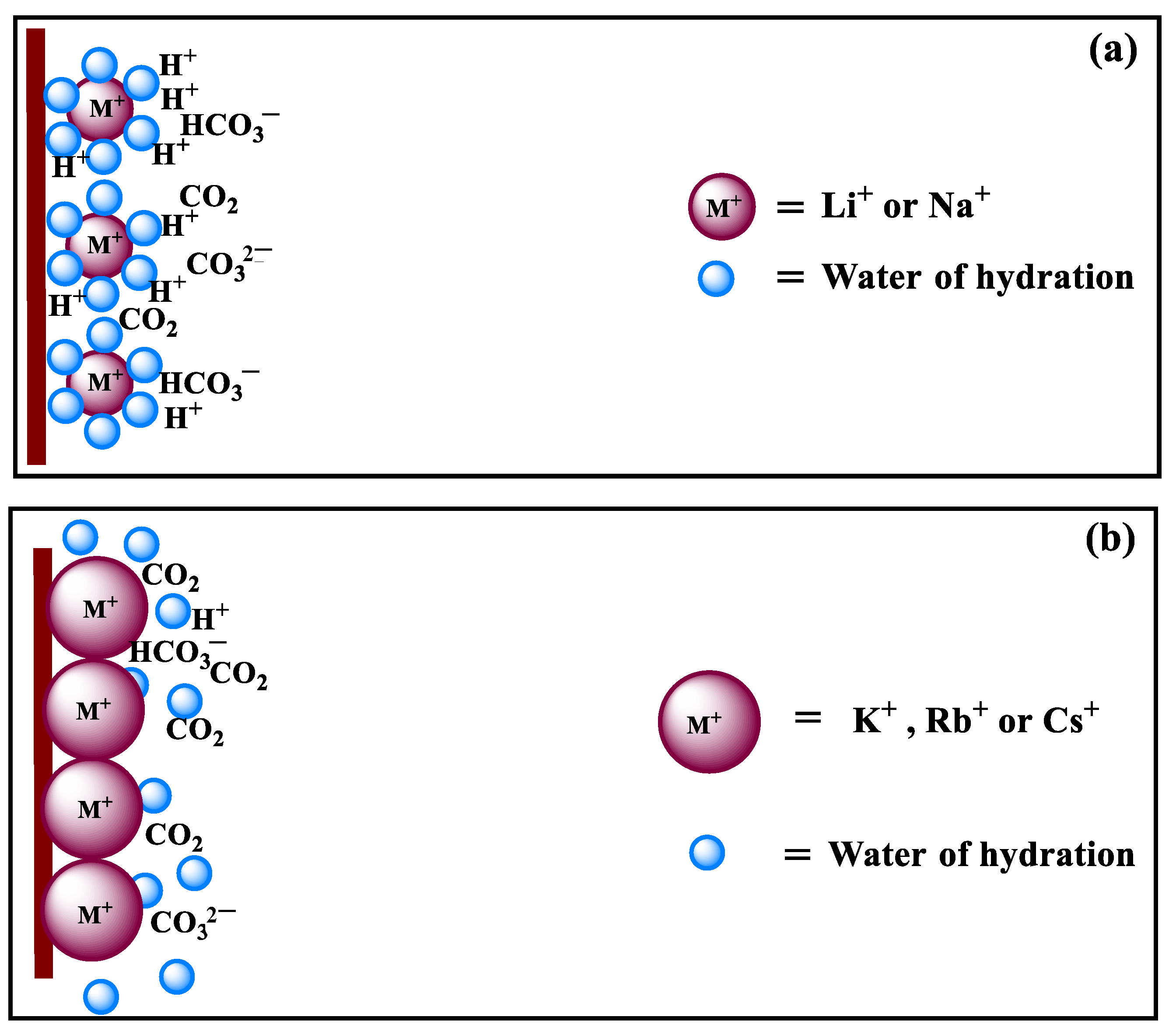 Catalysts 13 01092 g007 Catalysts 13 01092 g007
