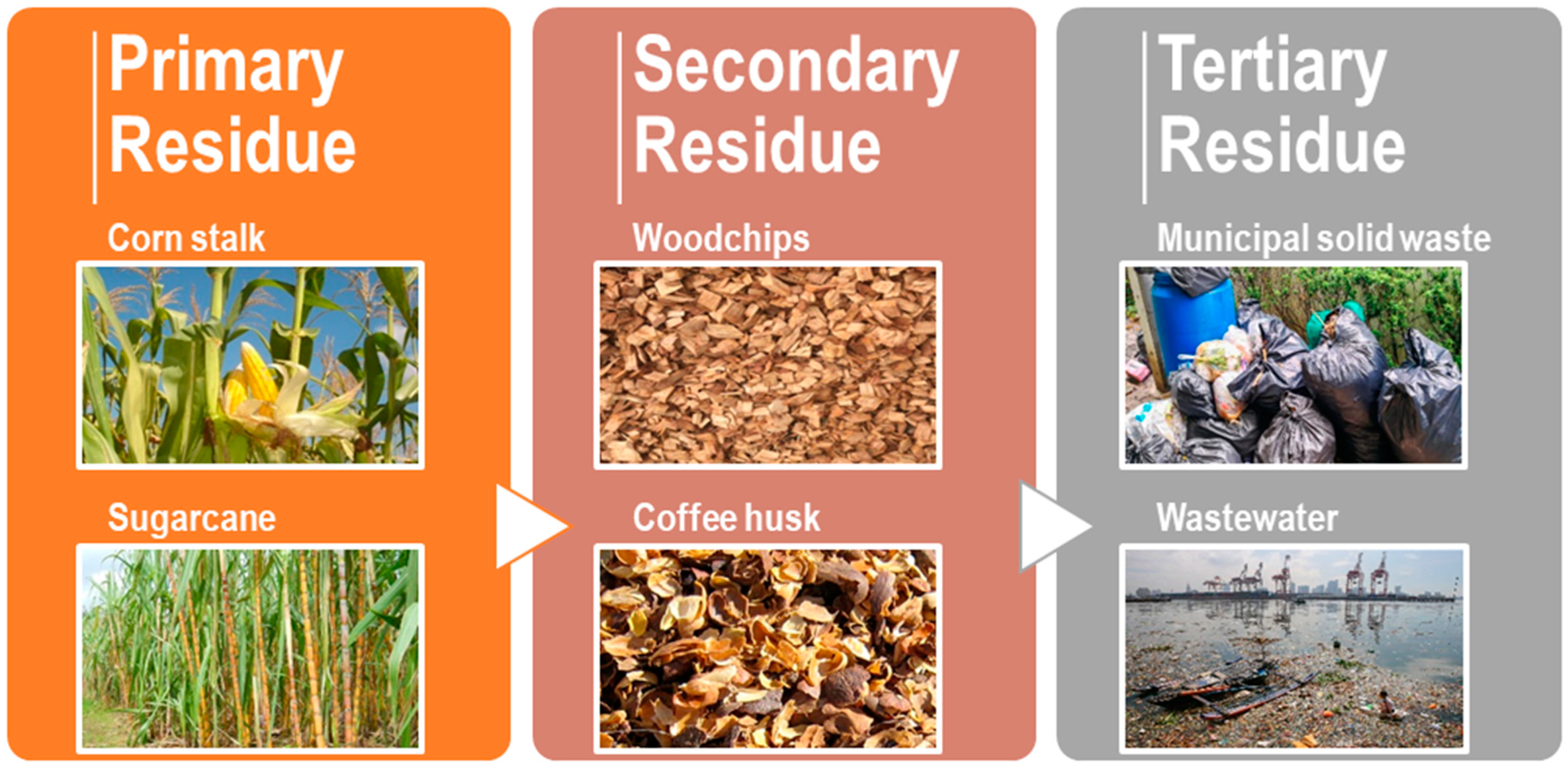 Catalysts 13 01093 g002