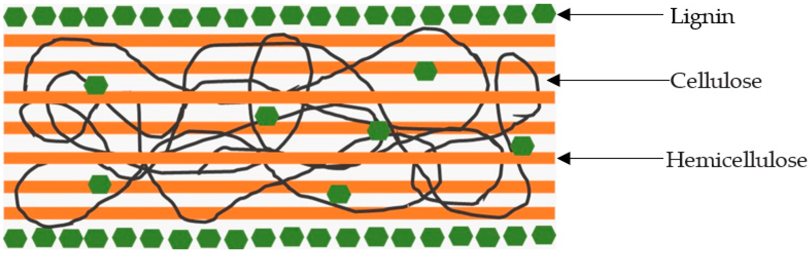 Catalysts 13 01093 g003