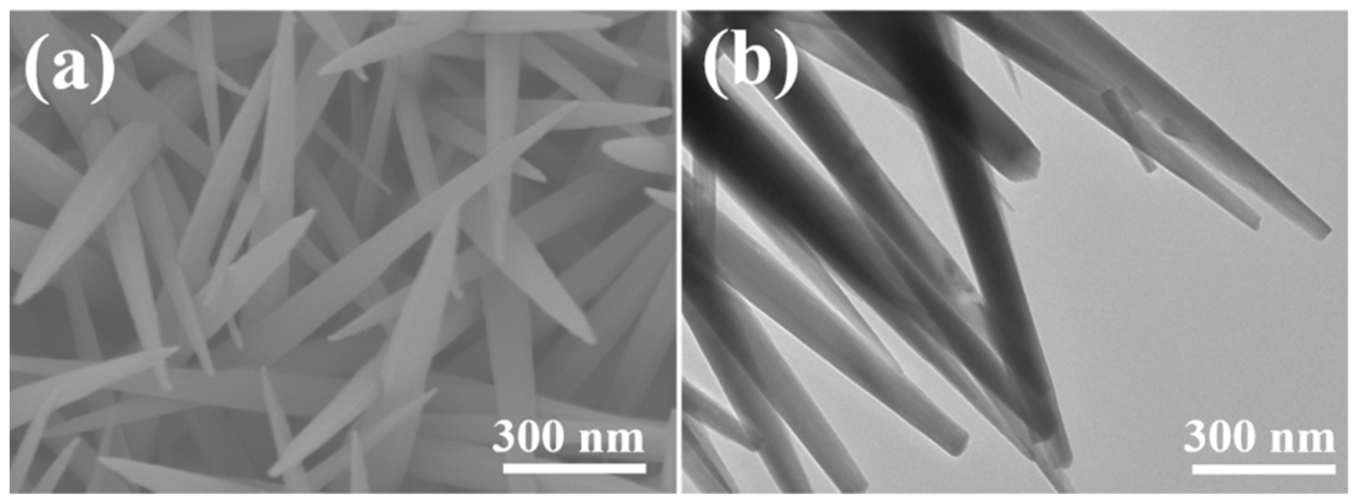 Catalysts 13 01099 g002