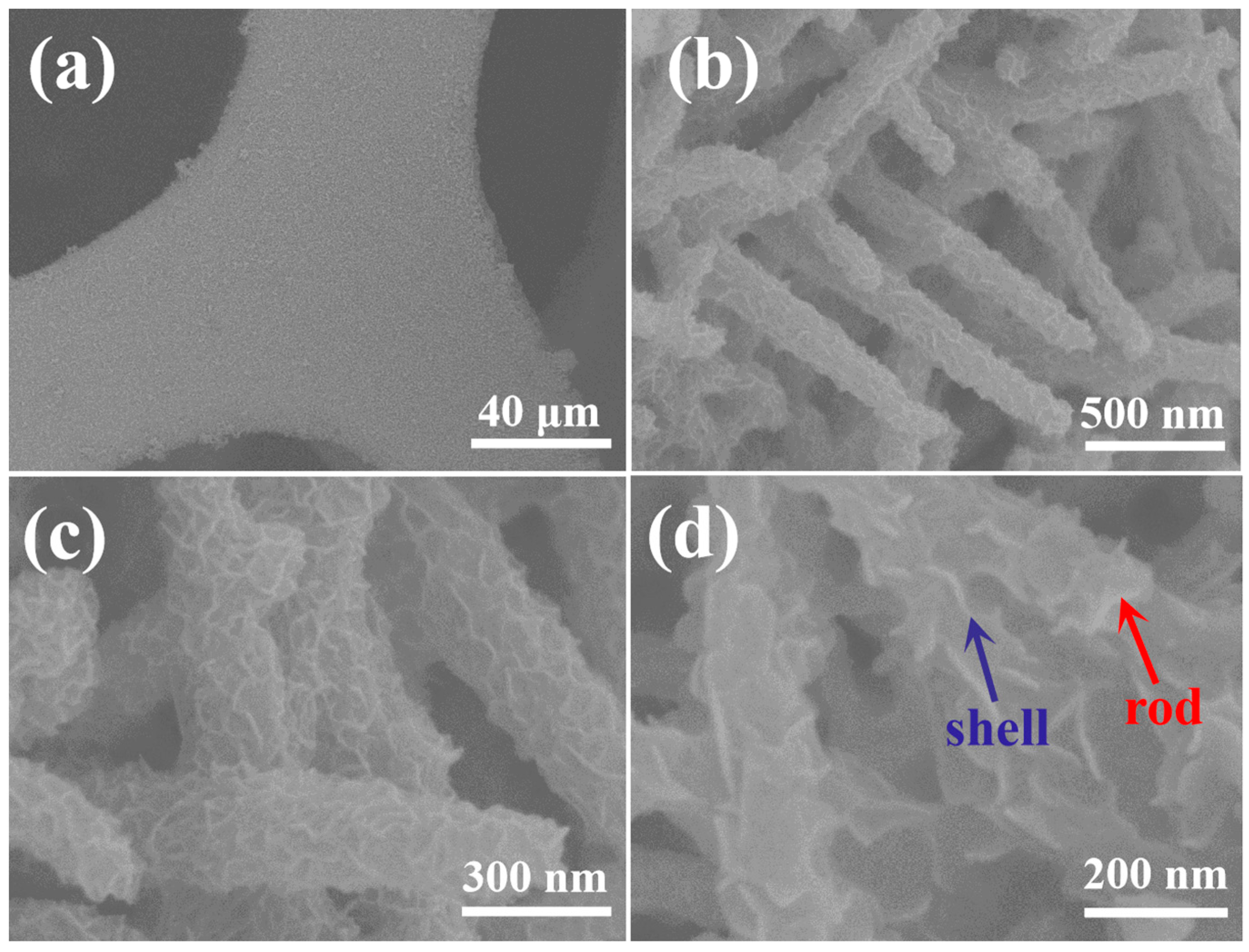 Catalysts 13 01099 g003