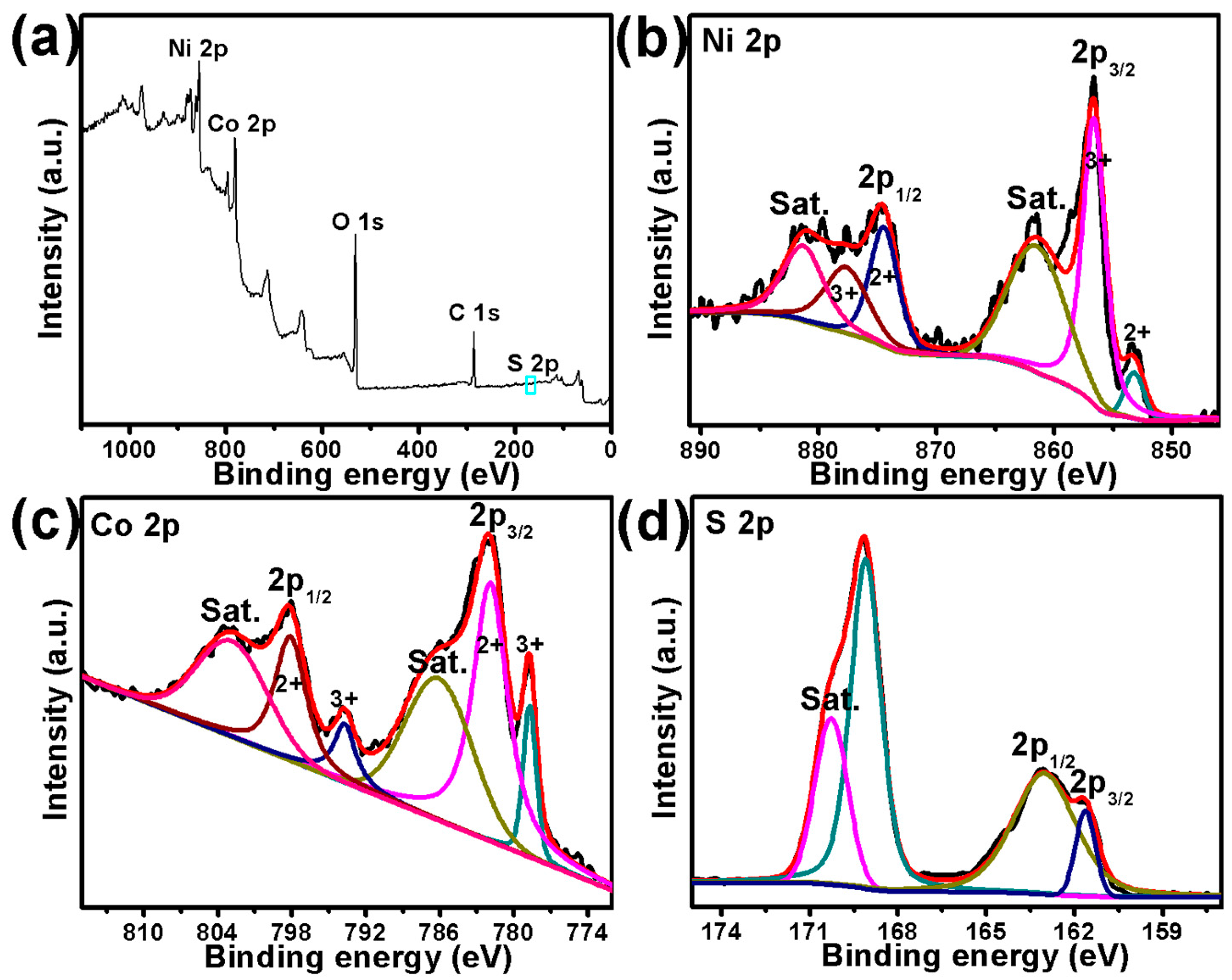 Catalysts 13 01099 g005