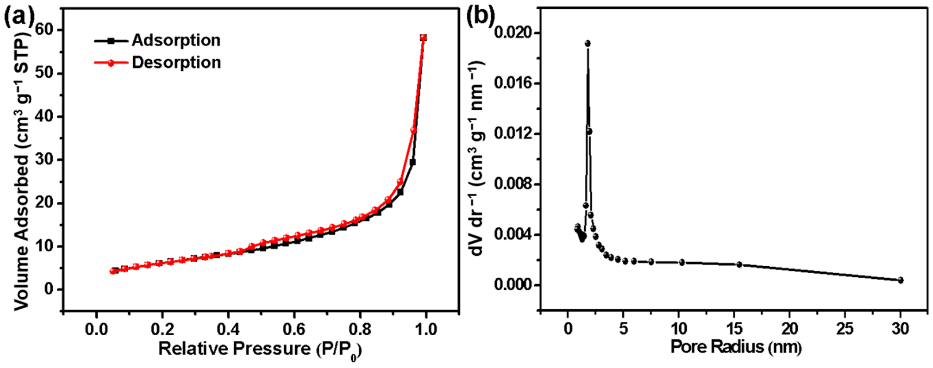 Catalysts 13 01099 g006