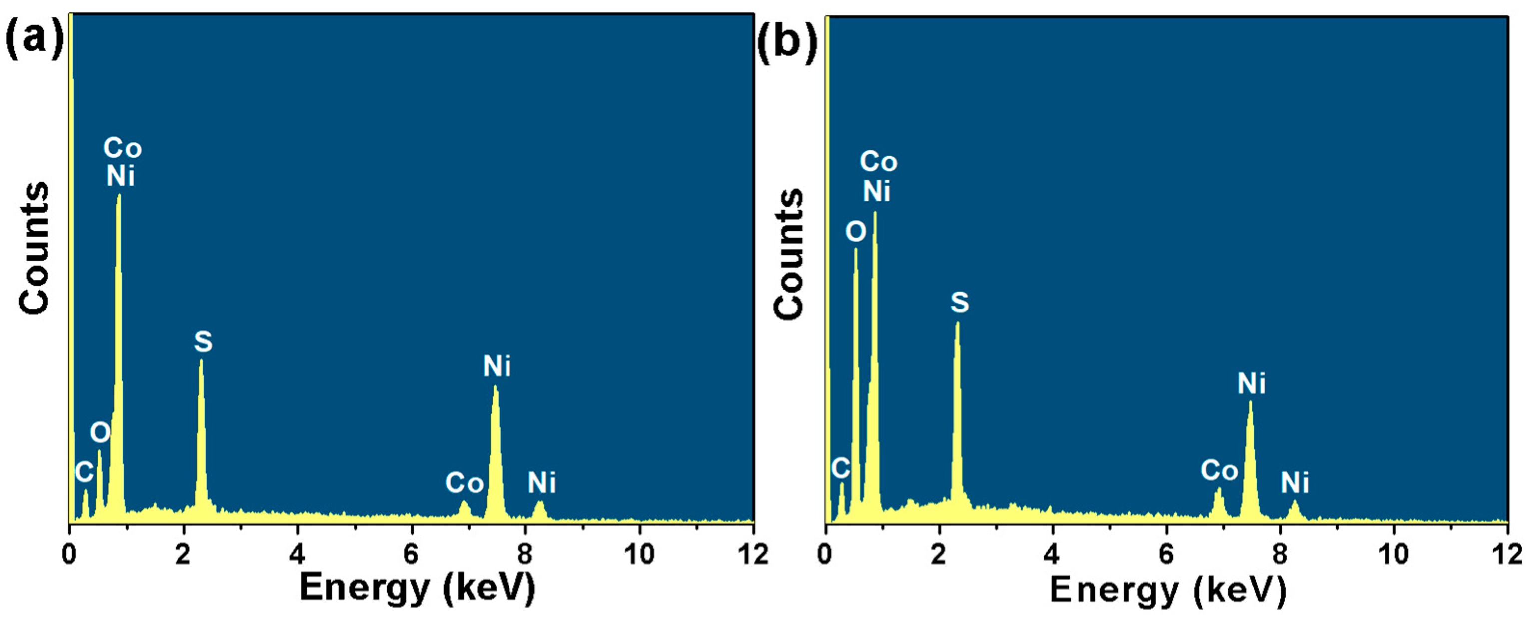 Catalysts 13 01099 g008
