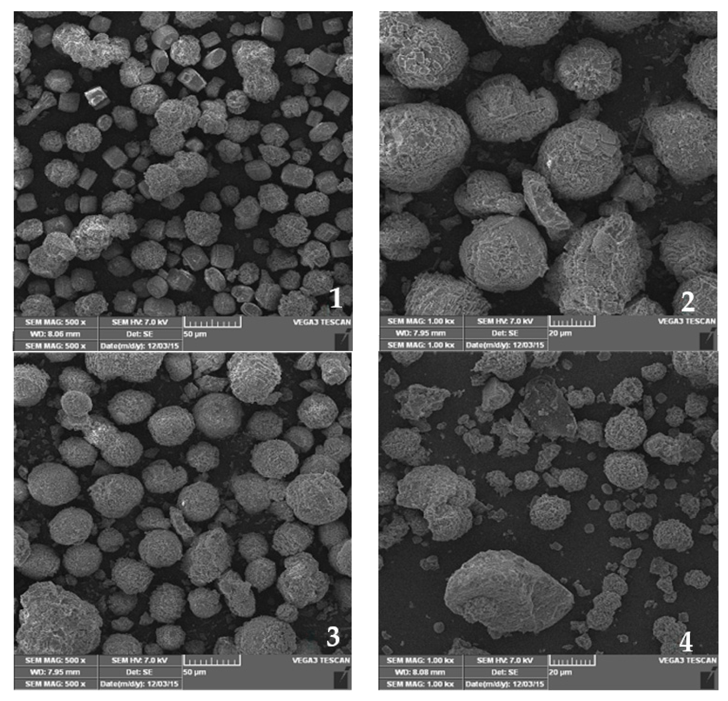 Catalysts 13 01100 g003