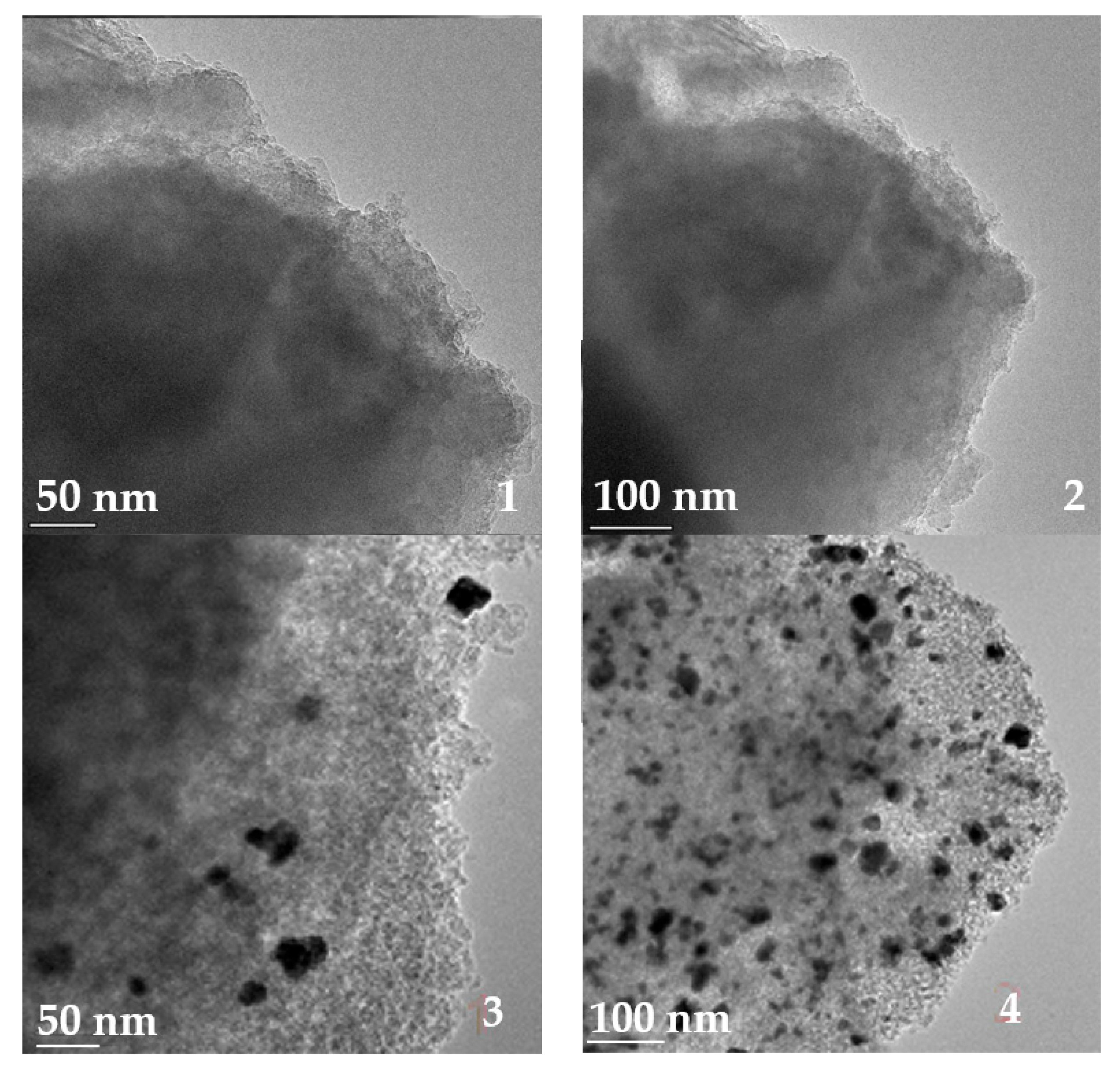 Catalysts 13 01100 g004