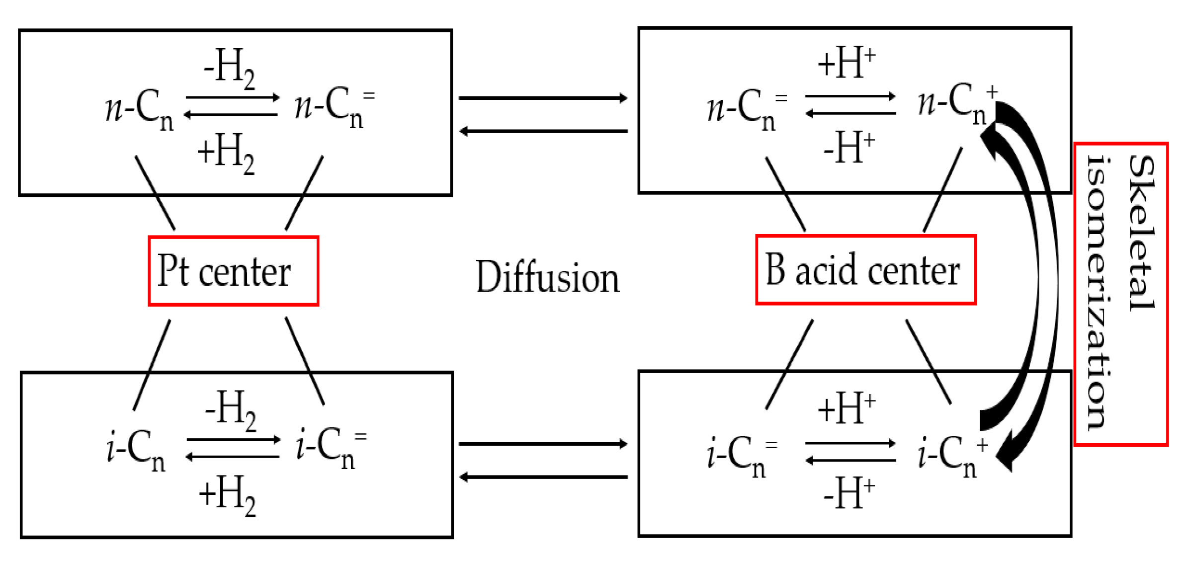 Catalysts 13 01100 g013