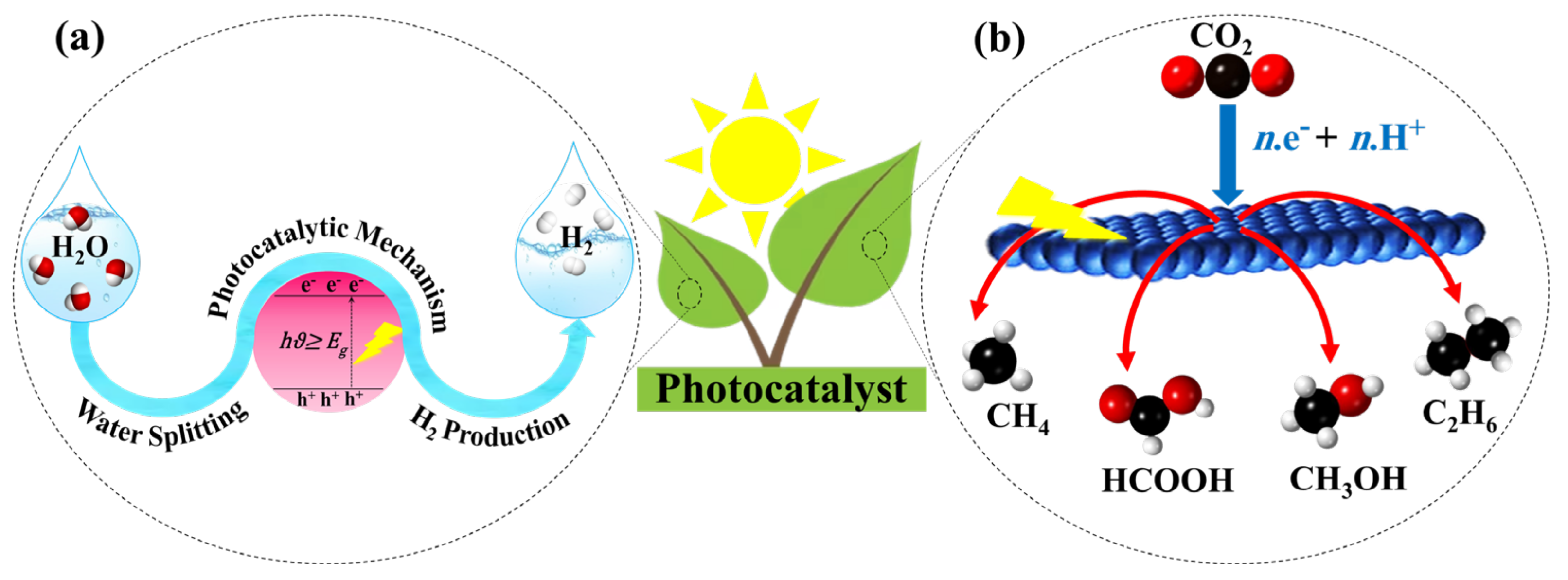 Catalysts 13 01102 g001