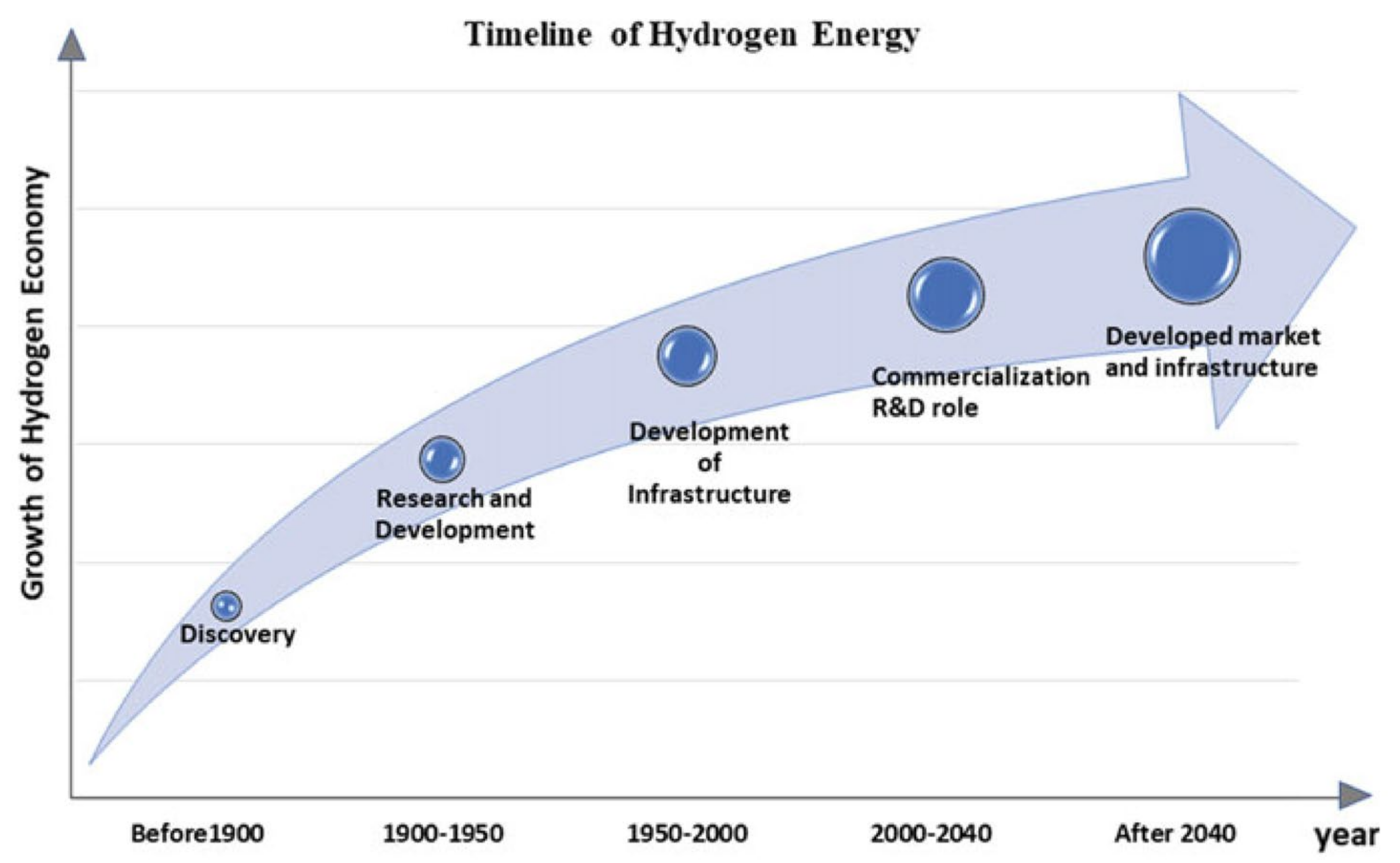 Catalysts 13 01102 g002