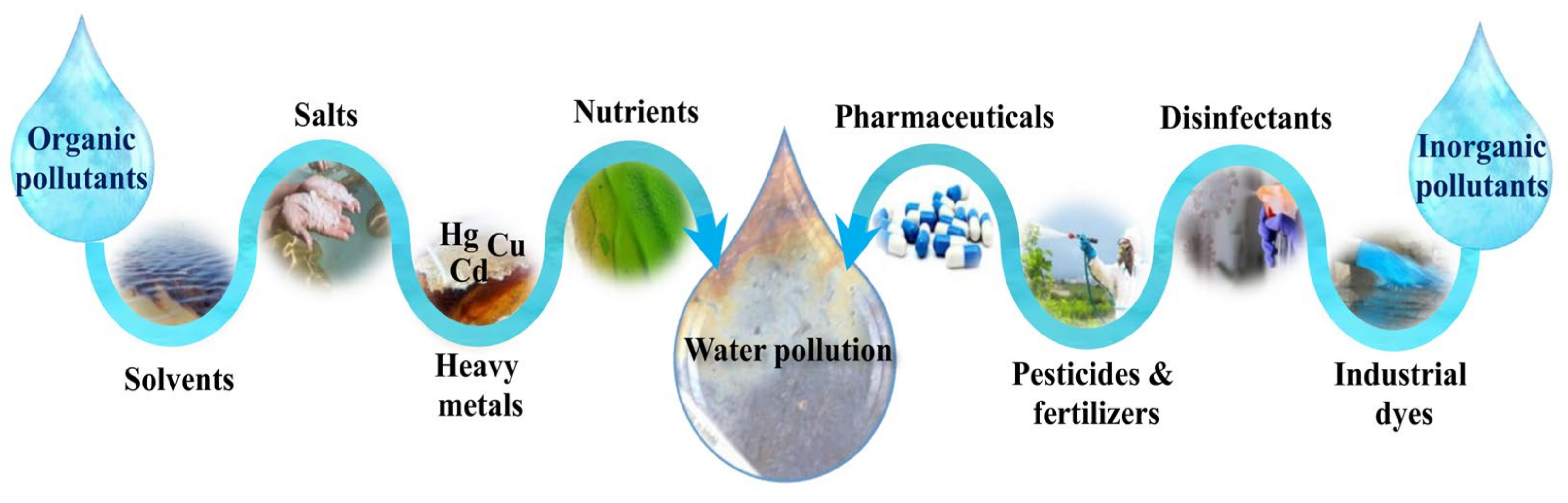 Catalysts 13 01102 g003