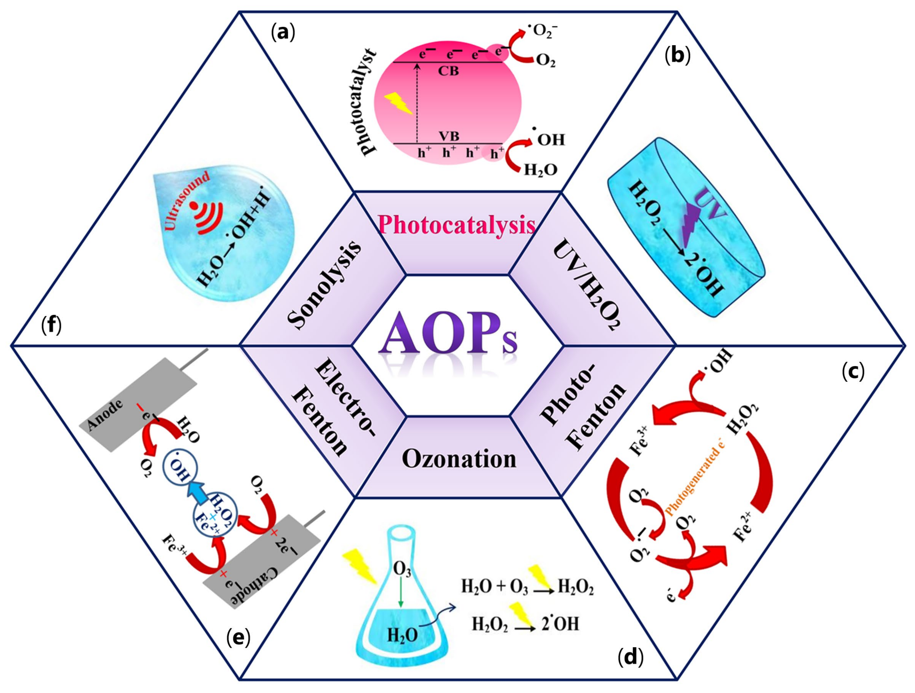 Catalysts 13 01102 g004