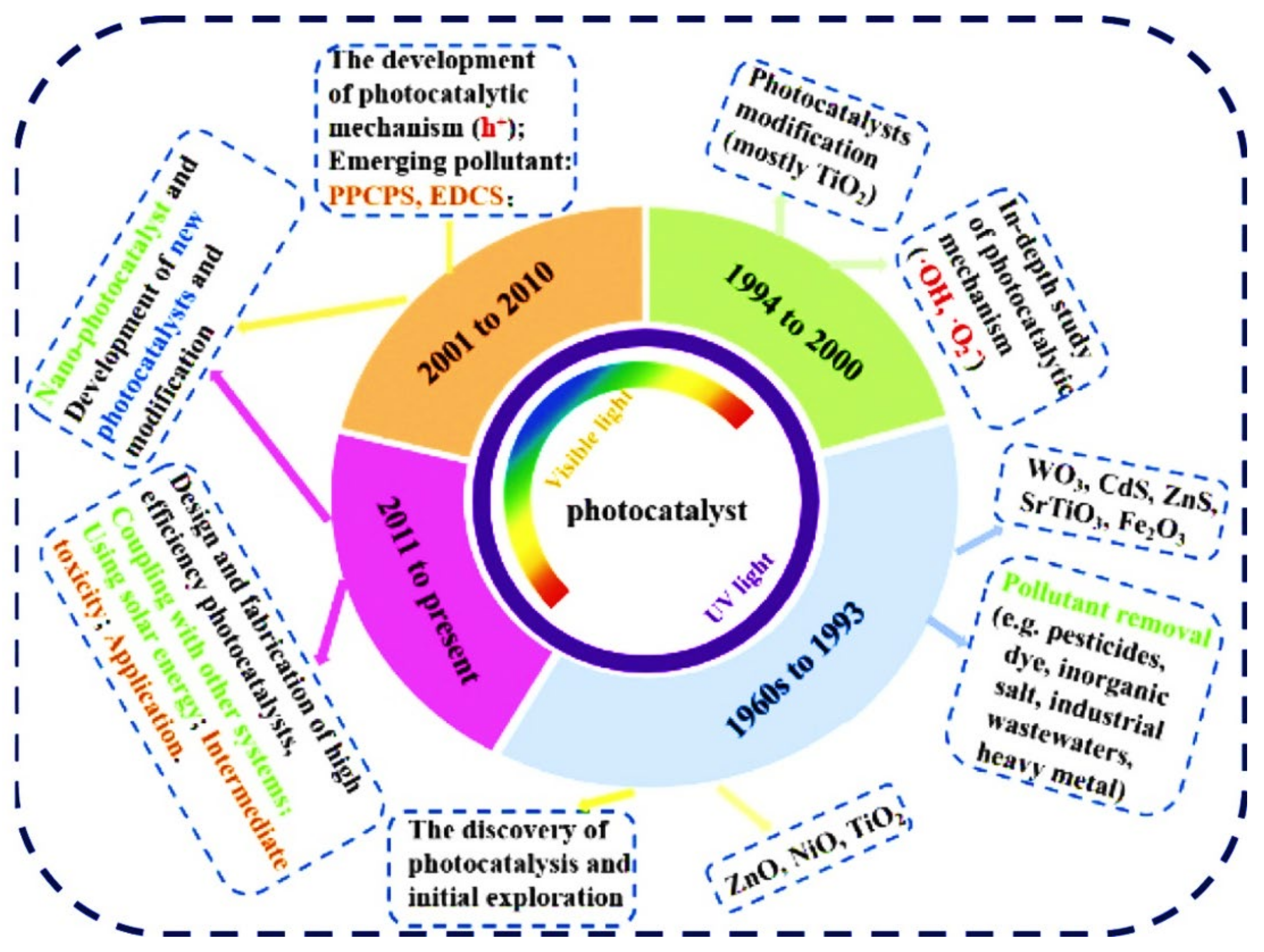 Catalysts 13 01102 g005