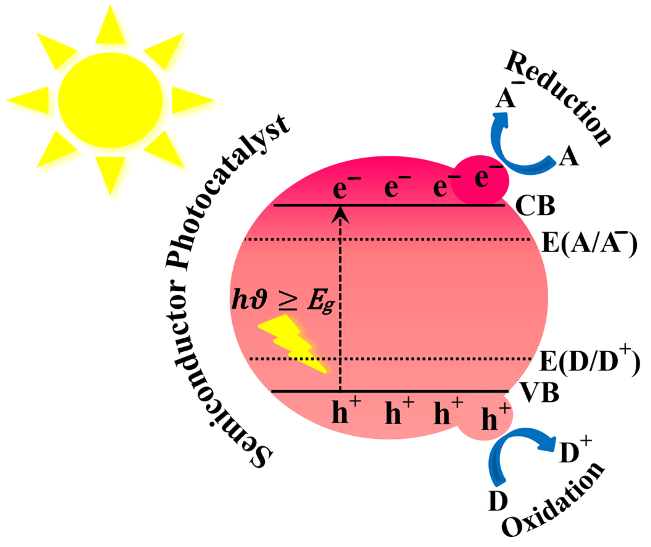 Catalysts 13 01102 g008