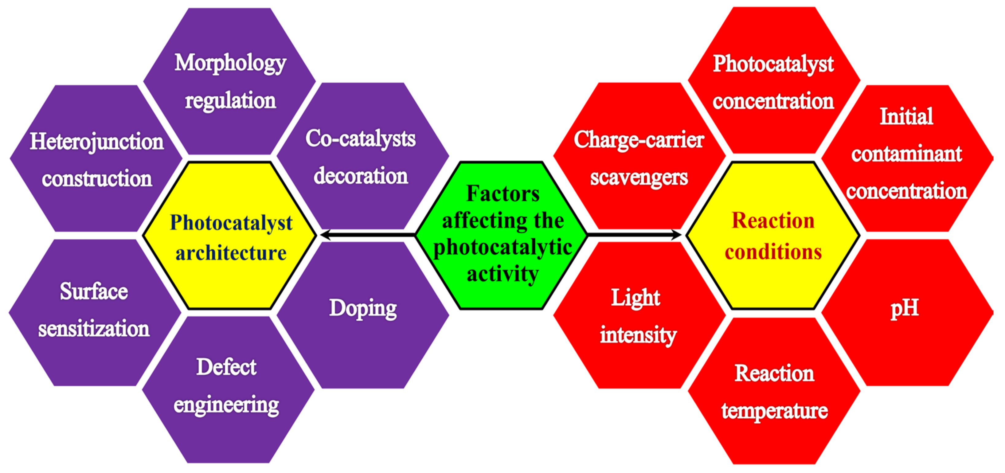 Catalysts 13 01102 g009