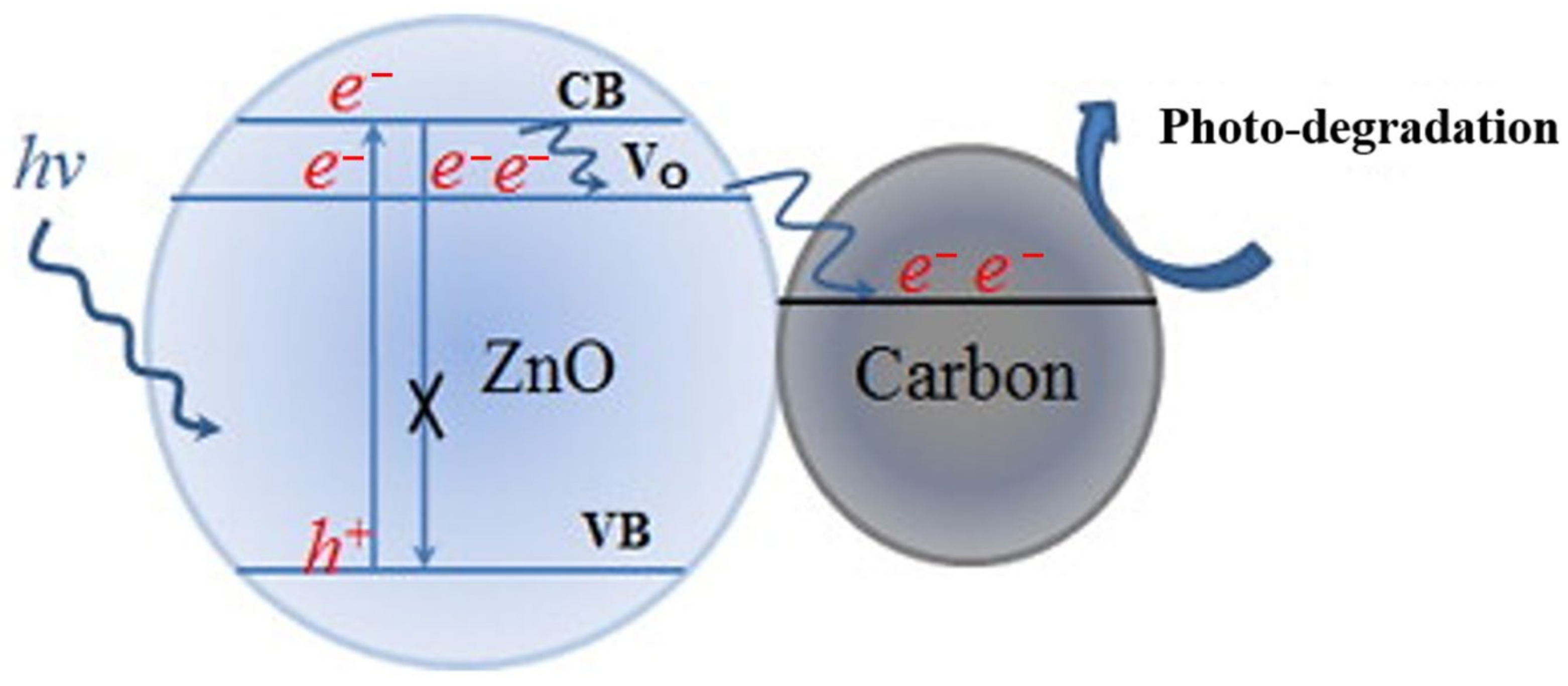 Catalysts 13 01102 g012