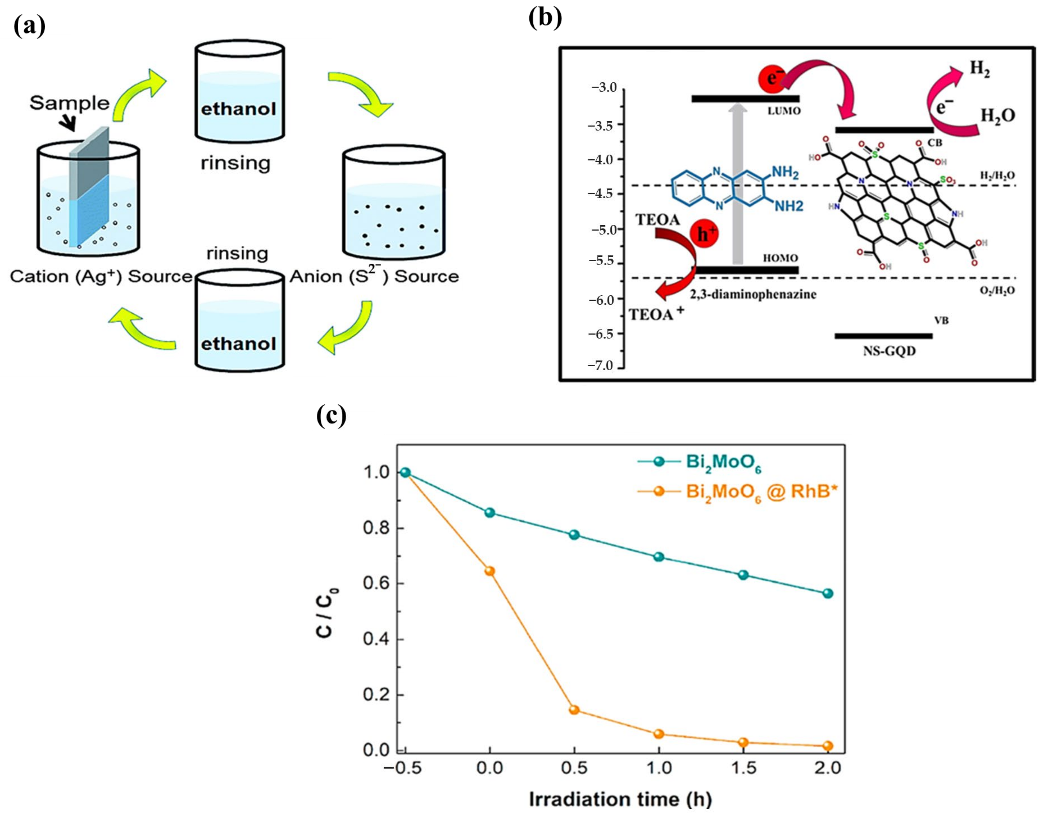 Catalysts 13 01102 g013