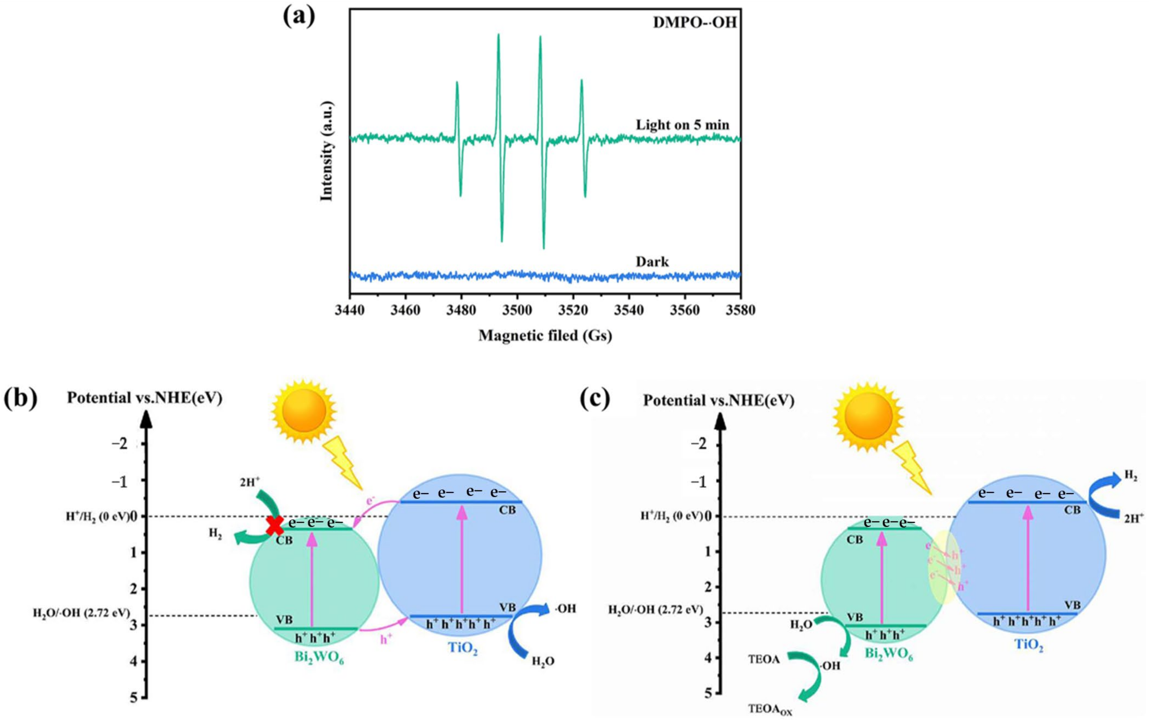 Catalysts 13 01102 g017