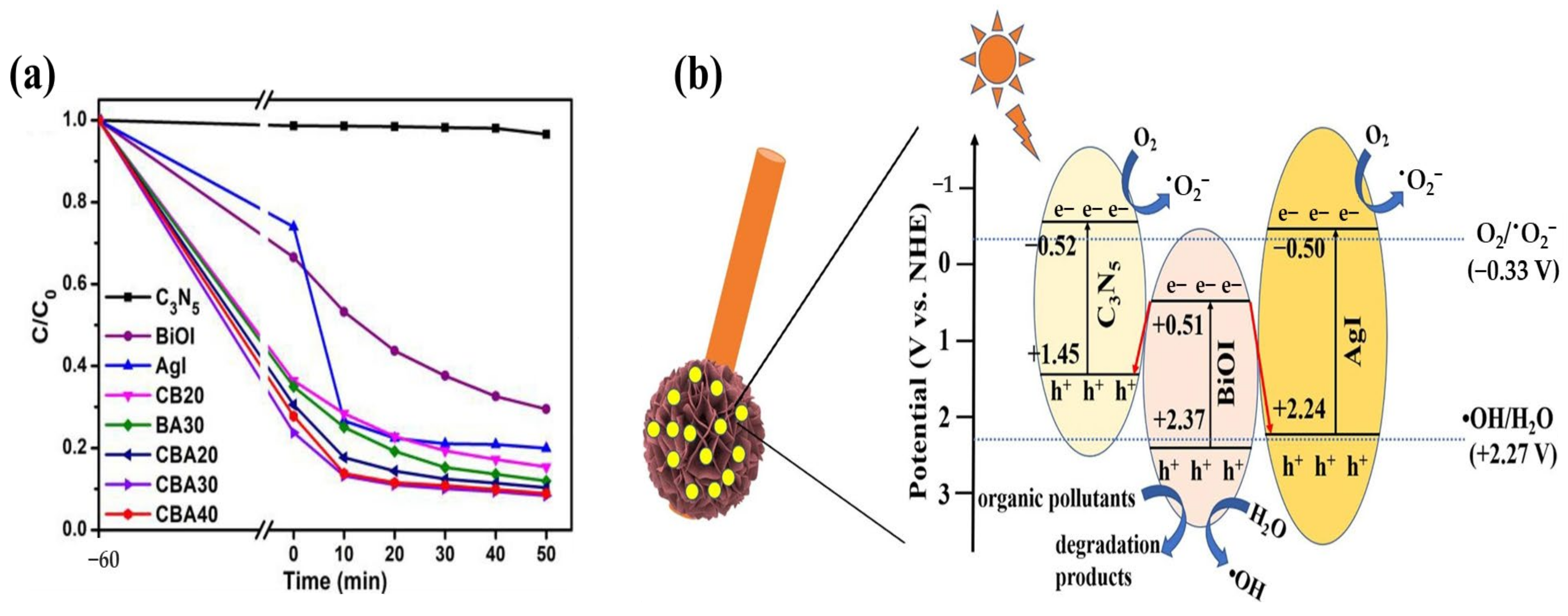 Catalysts 13 01102 g021