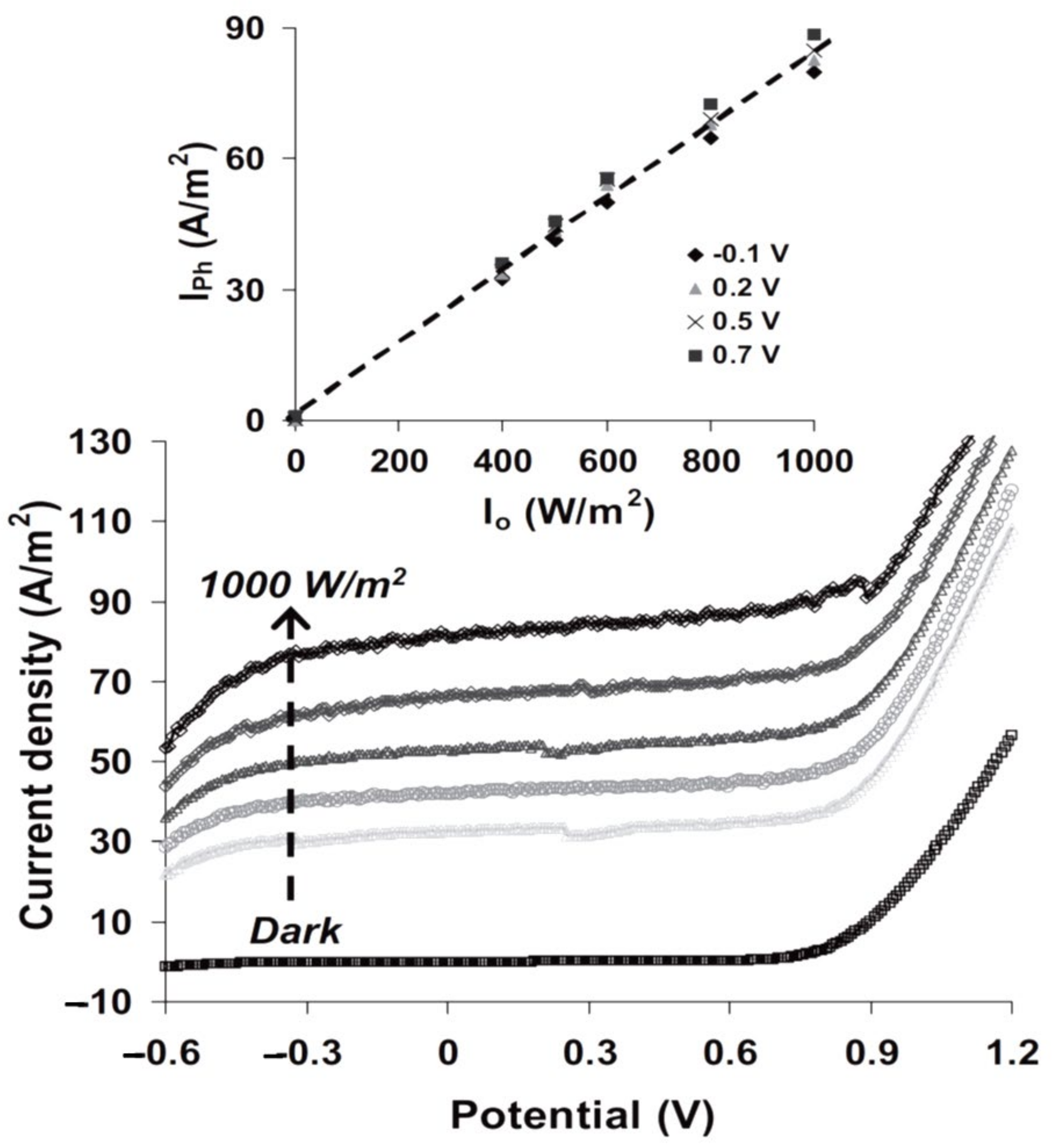 Catalysts 13 01102 g028