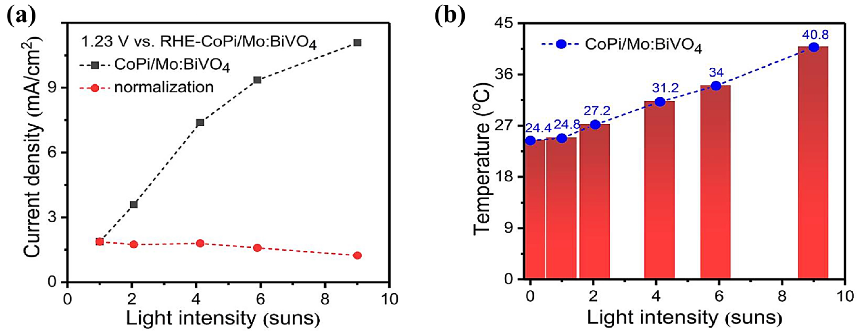 Catalysts 13 01102 g029