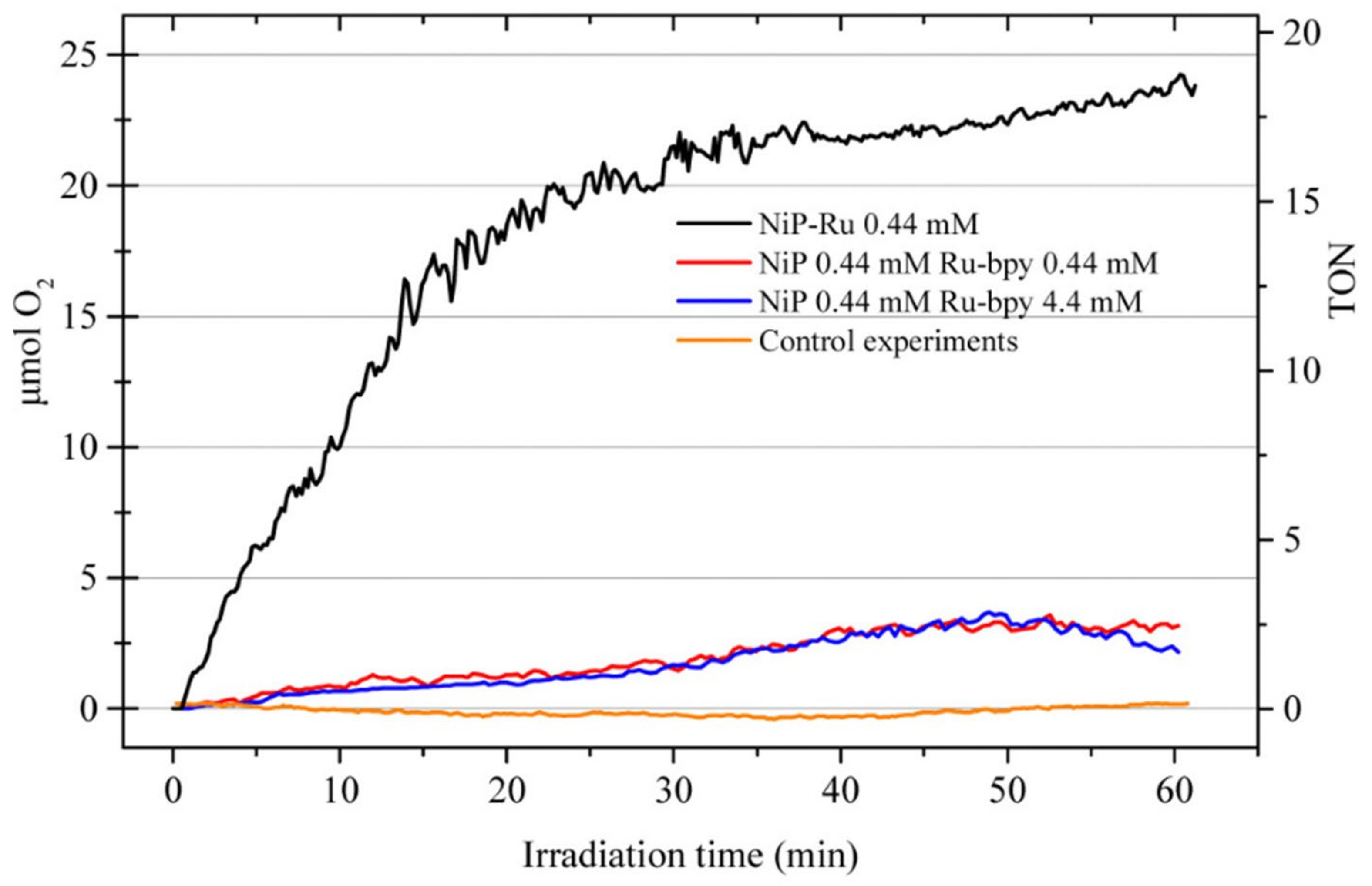 Catalysts 13 01102 g032