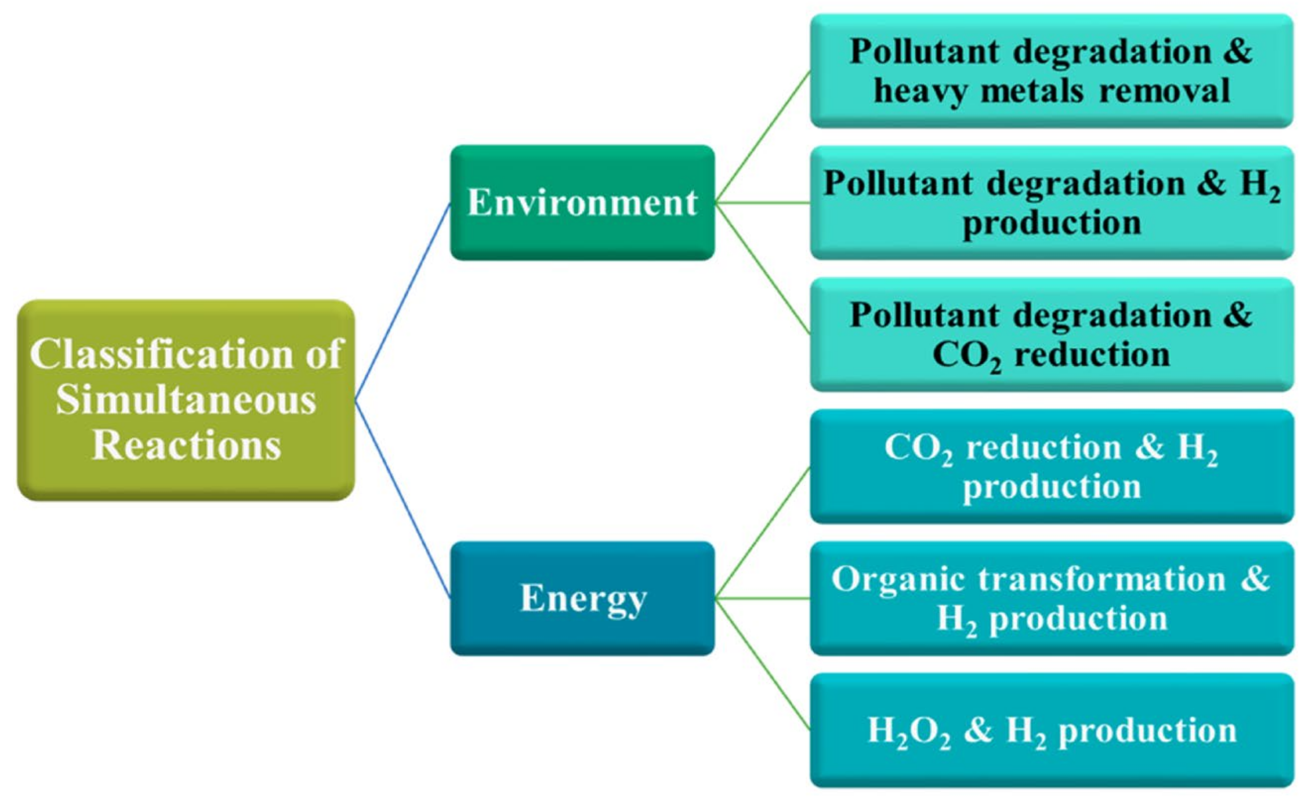 Catalysts 13 01102 g033