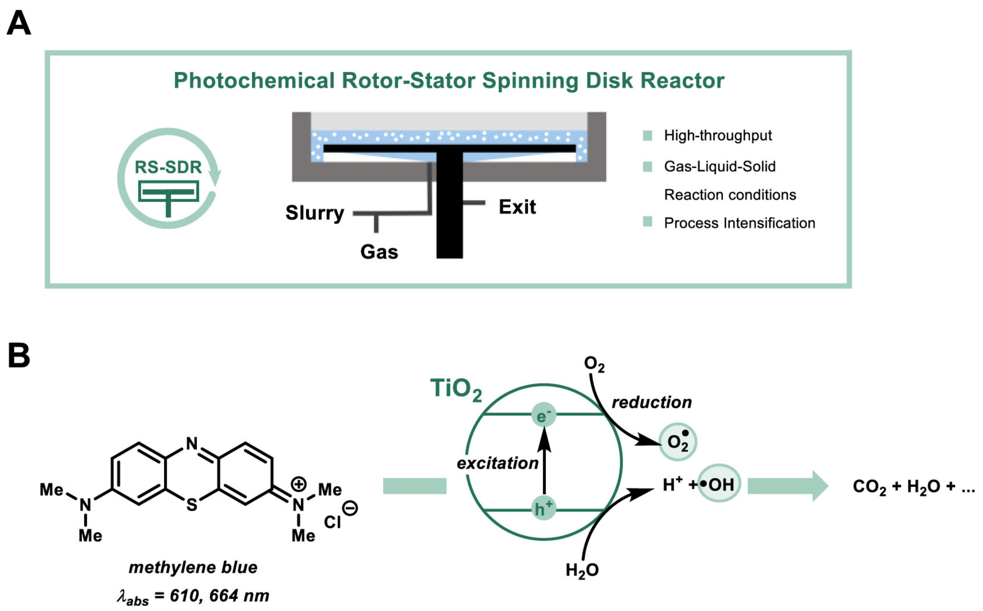 Catalysts 13 01102 g036
