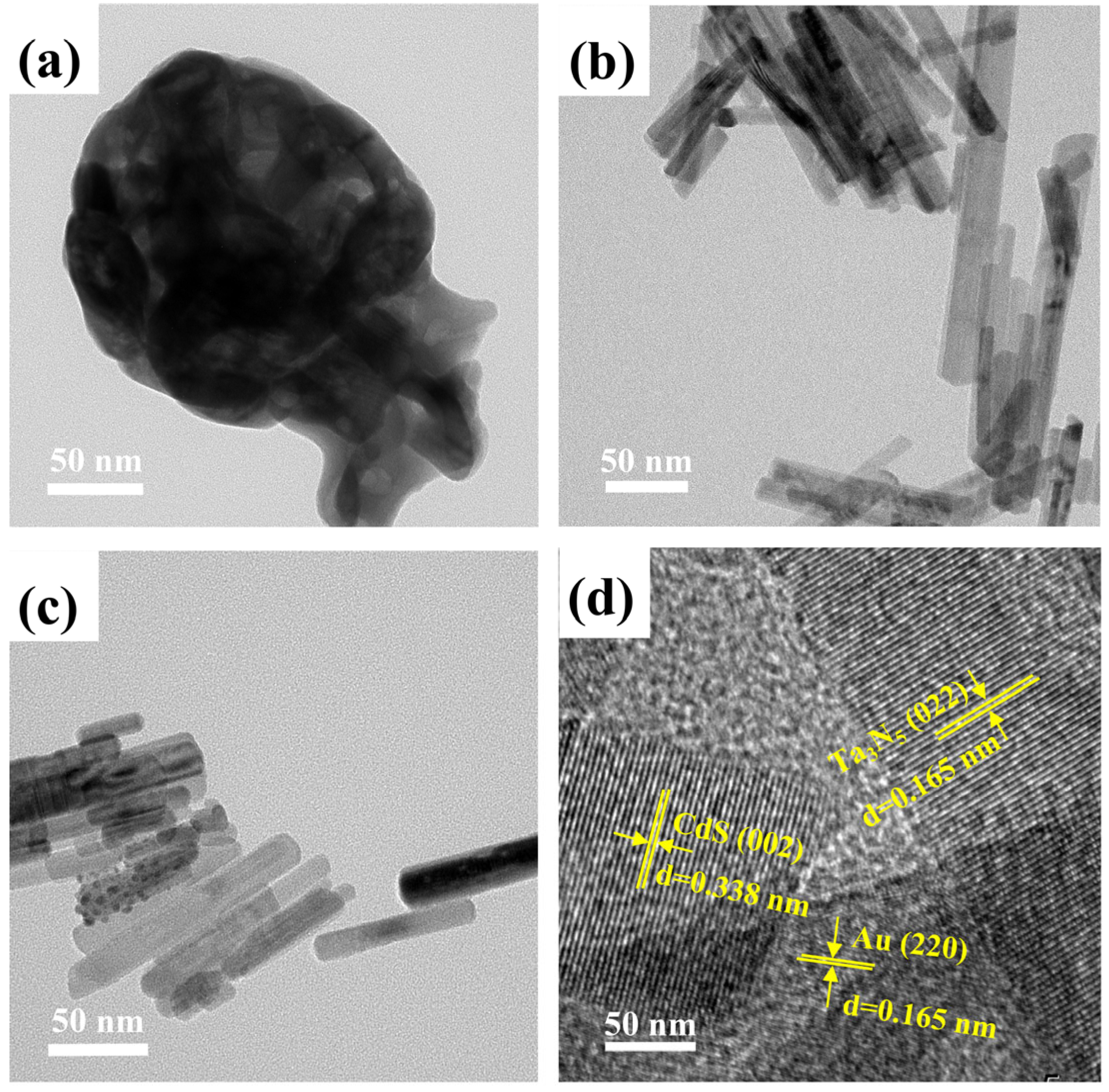 Catalysts 13 01103 g001