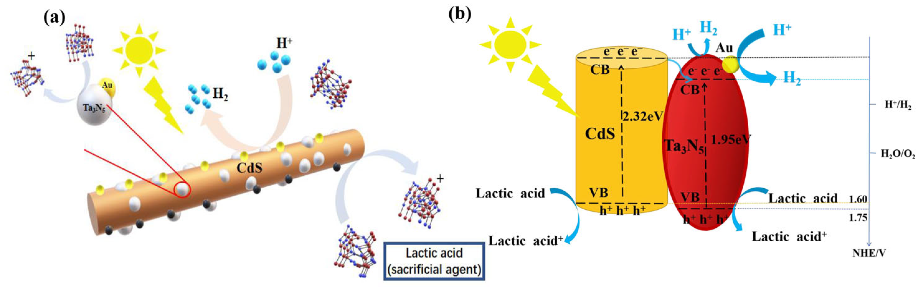 Catalysts 13 01103 sch001