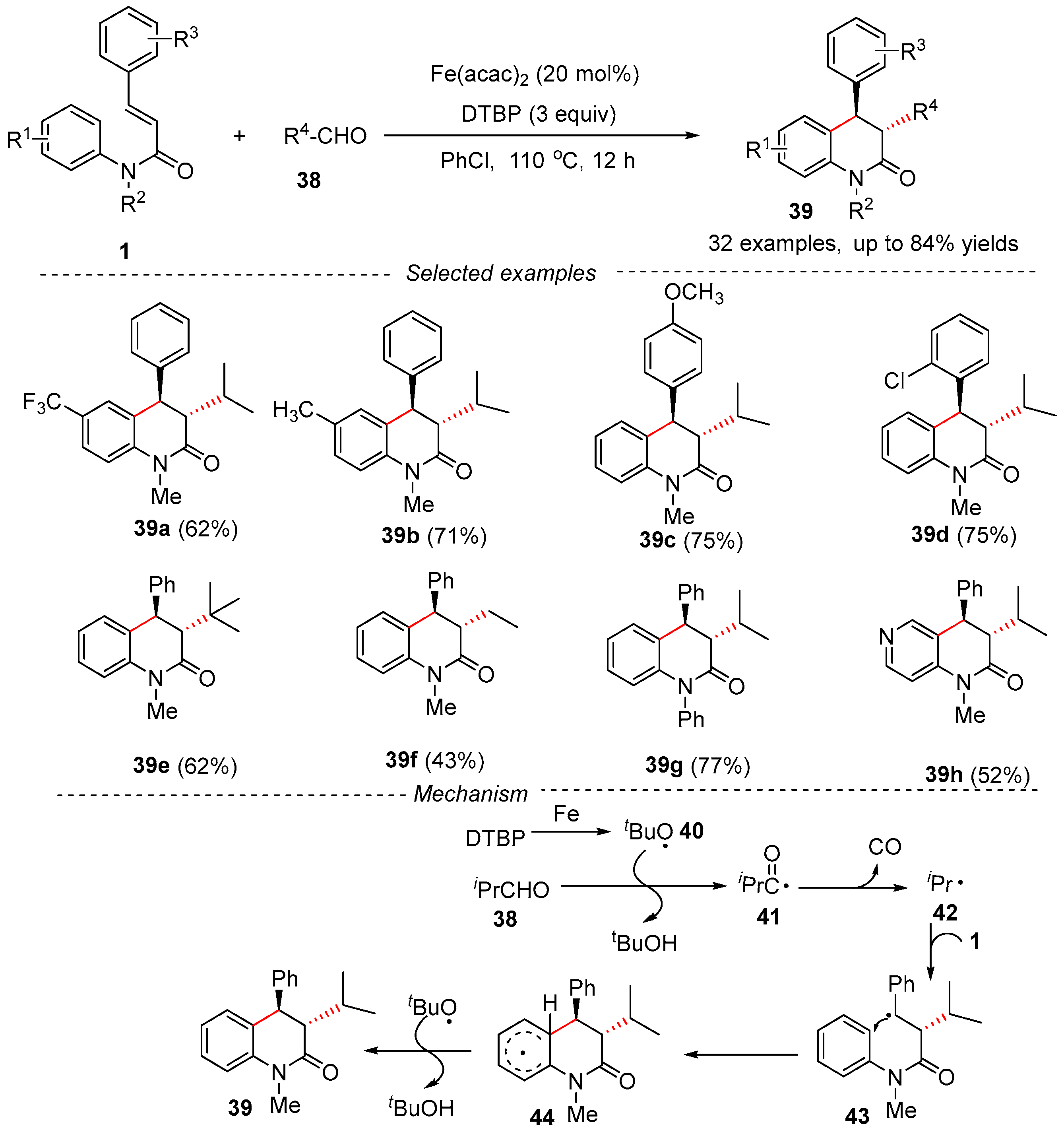 Catalysts 13 01105 g012