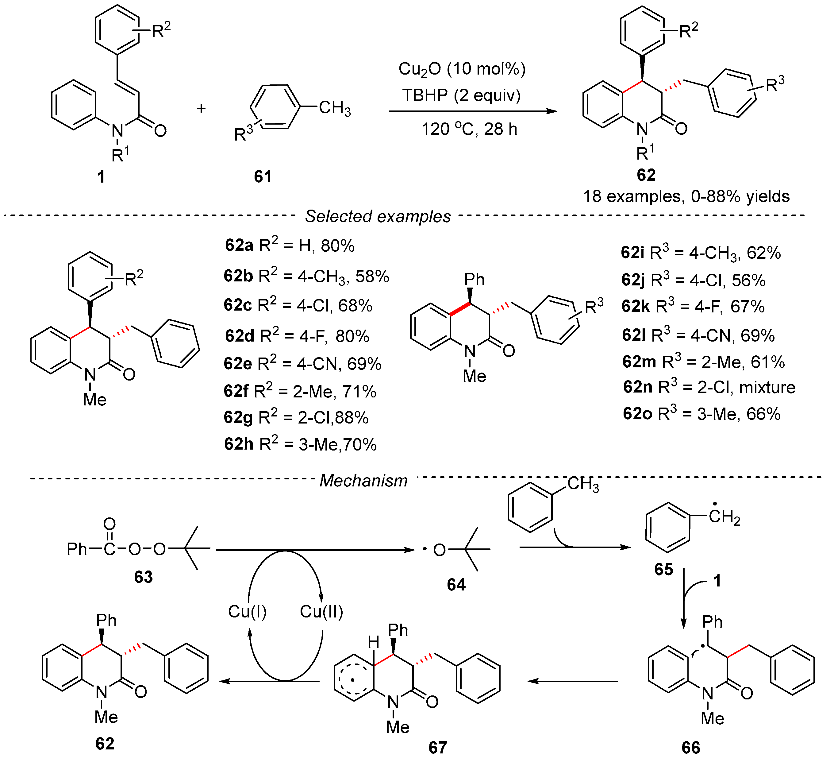 Catalysts 13 01105 g017