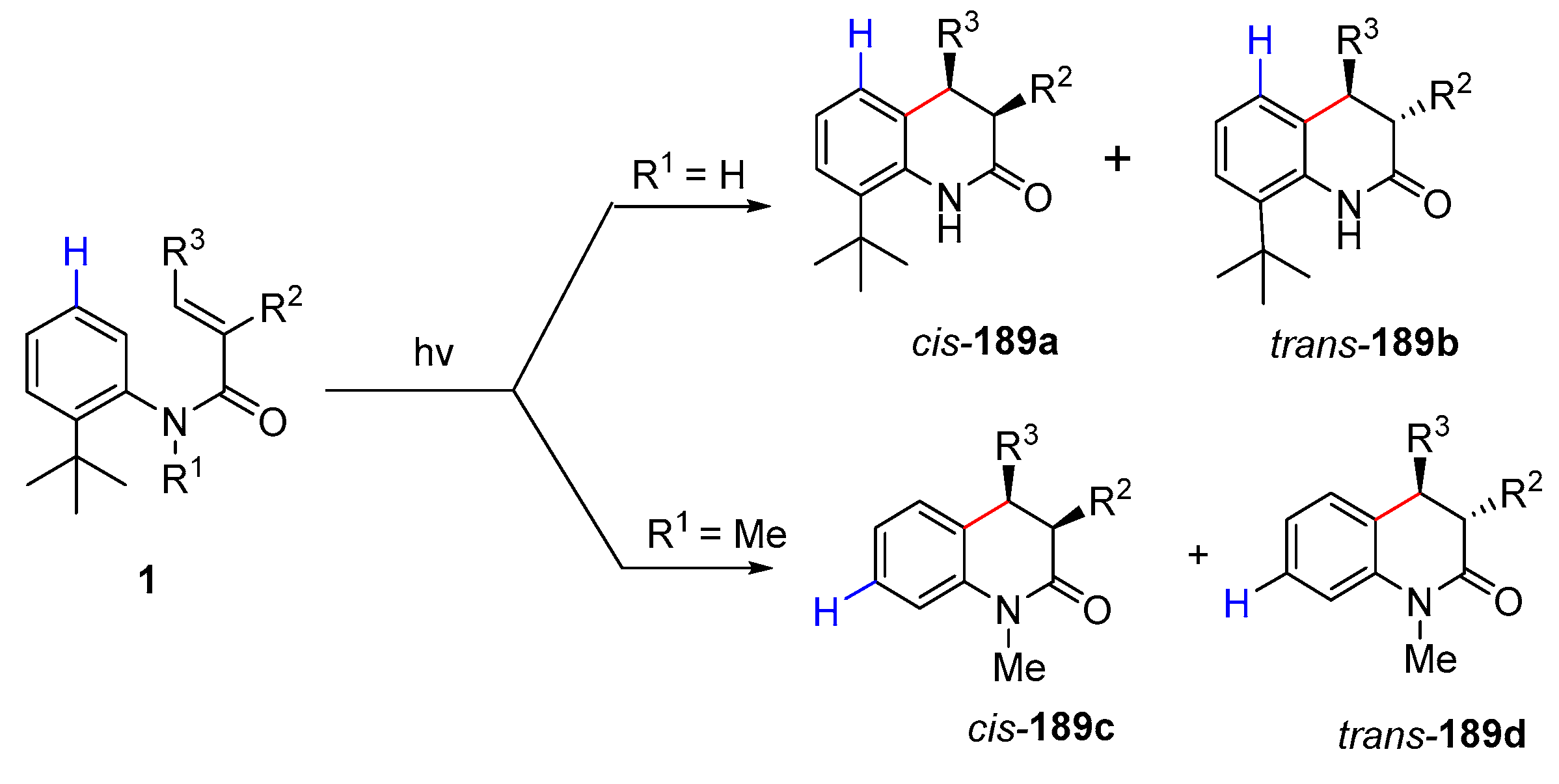 Catalysts 13 01105 g044
